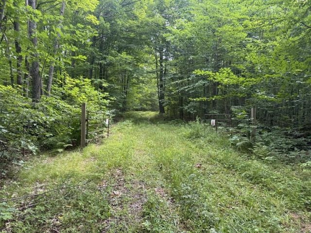 240701 SAWMILL ROAD, Aniwa, Wisconsin 54408, ,Land,For Sale,240701 SAWMILL ROAD,22604199