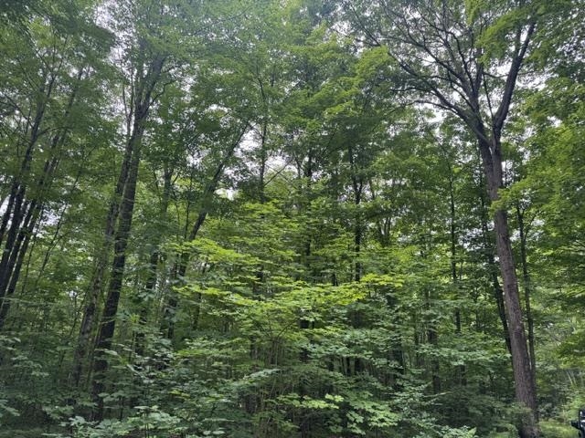 240701 SAWMILL ROAD, Aniwa, Wisconsin 54408, ,Land,For Sale,240701 SAWMILL ROAD,22604199