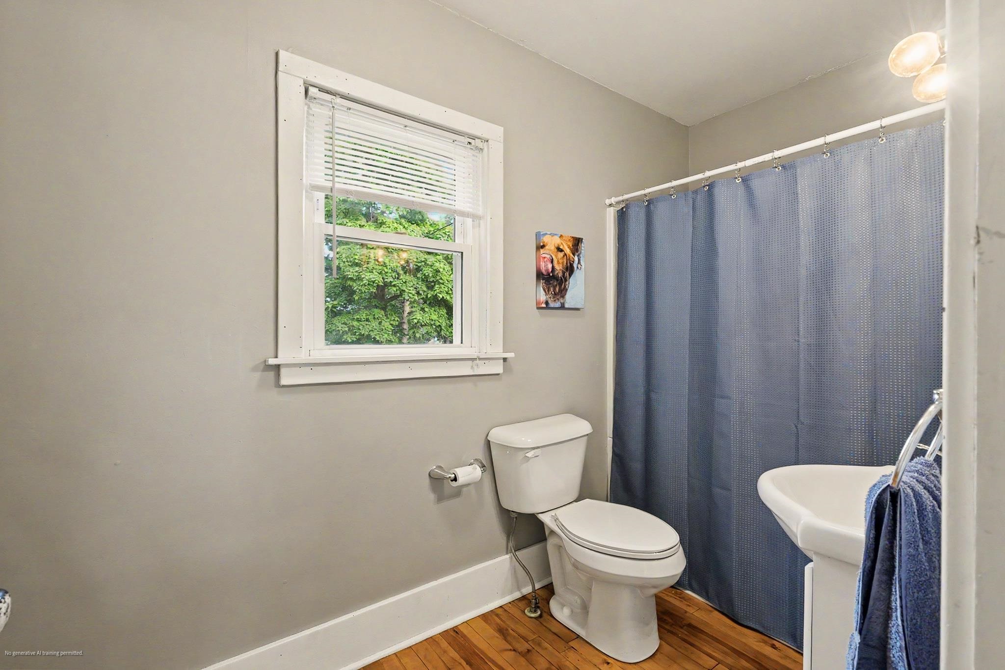 809 ILLINOIS AVENUE, Stevens Point, Wisconsin 54481, 3 Bedrooms Bedrooms, ,2 BathroomsBathrooms,Residential,For Sale,809 ILLINOIS AVENUE,22604208