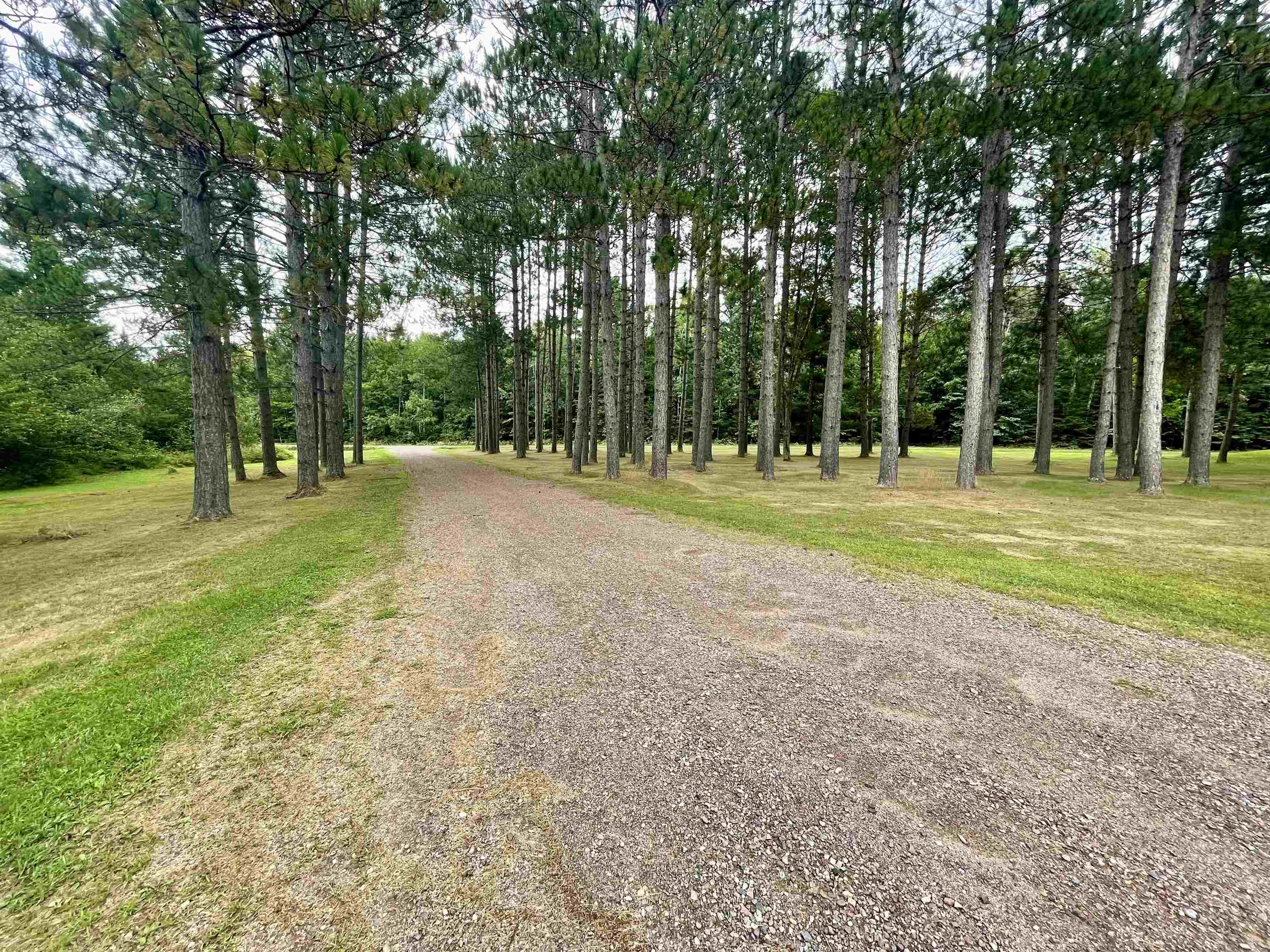 N3667 OGEMA PRENTICE ROAD, Prentice, Wisconsin 54556, 1 Bedroom Bedrooms, ,1 BathroomBathrooms,Residential,For Sale,N3667 OGEMA PRENTICE ROAD,22604215