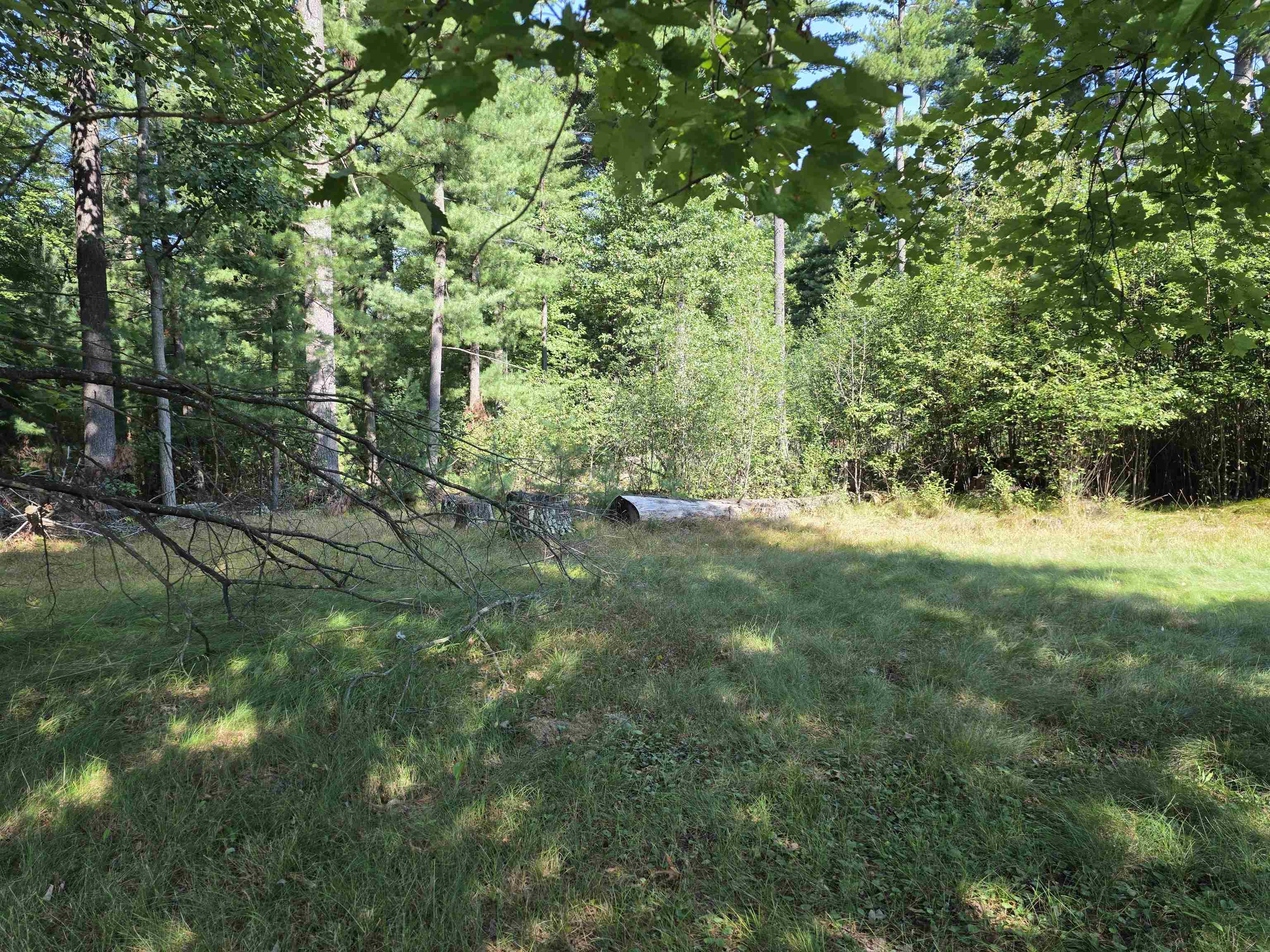 7811 TOWNLINE ROAD, Wisconsin Rapids, Wisconsin 54494, ,Land,For Sale,7811 TOWNLINE ROAD,22604221