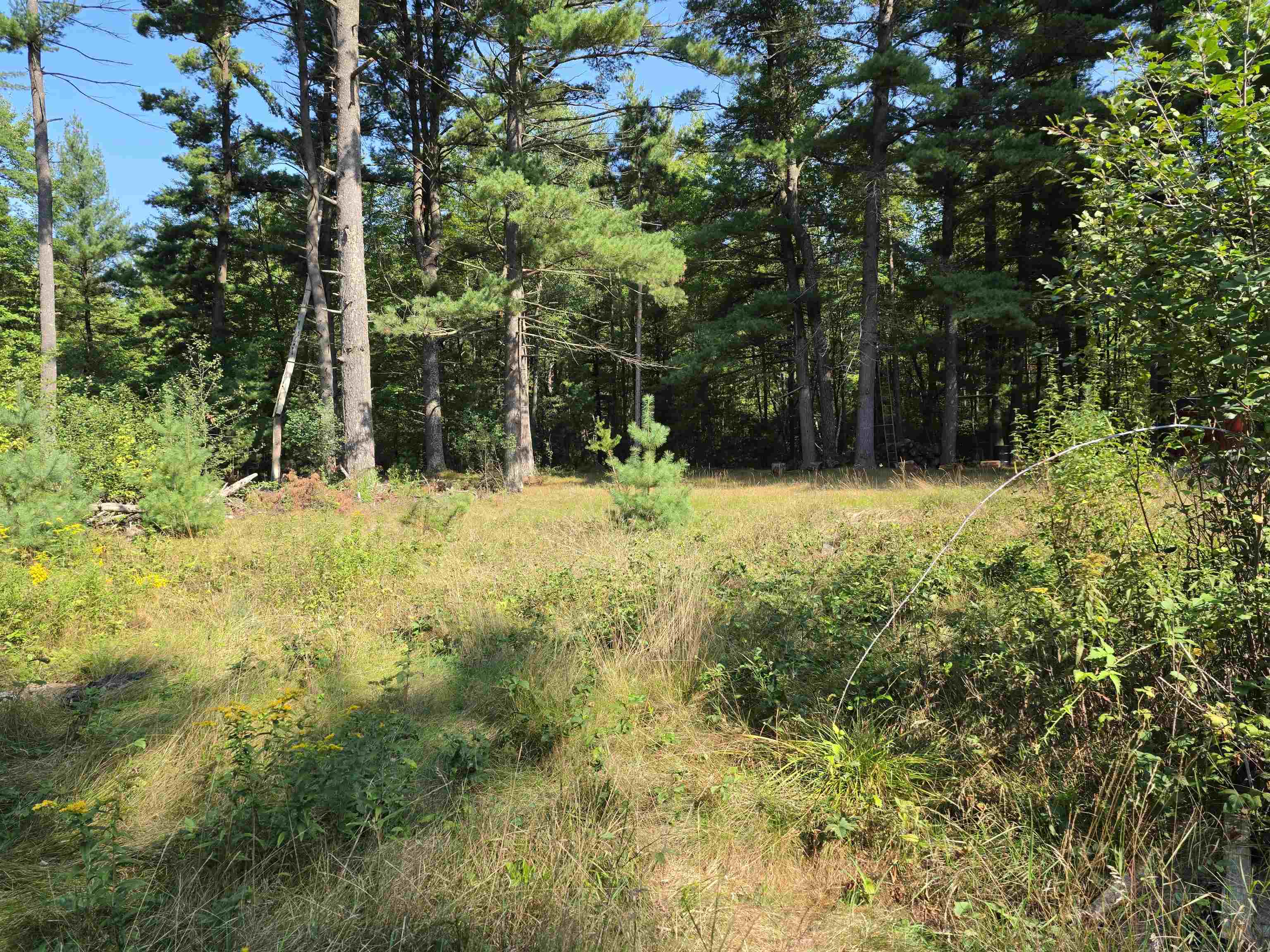 7811 TOWNLINE ROAD, Wisconsin Rapids, Wisconsin 54494, ,Land,For Sale,7811 TOWNLINE ROAD,22604221