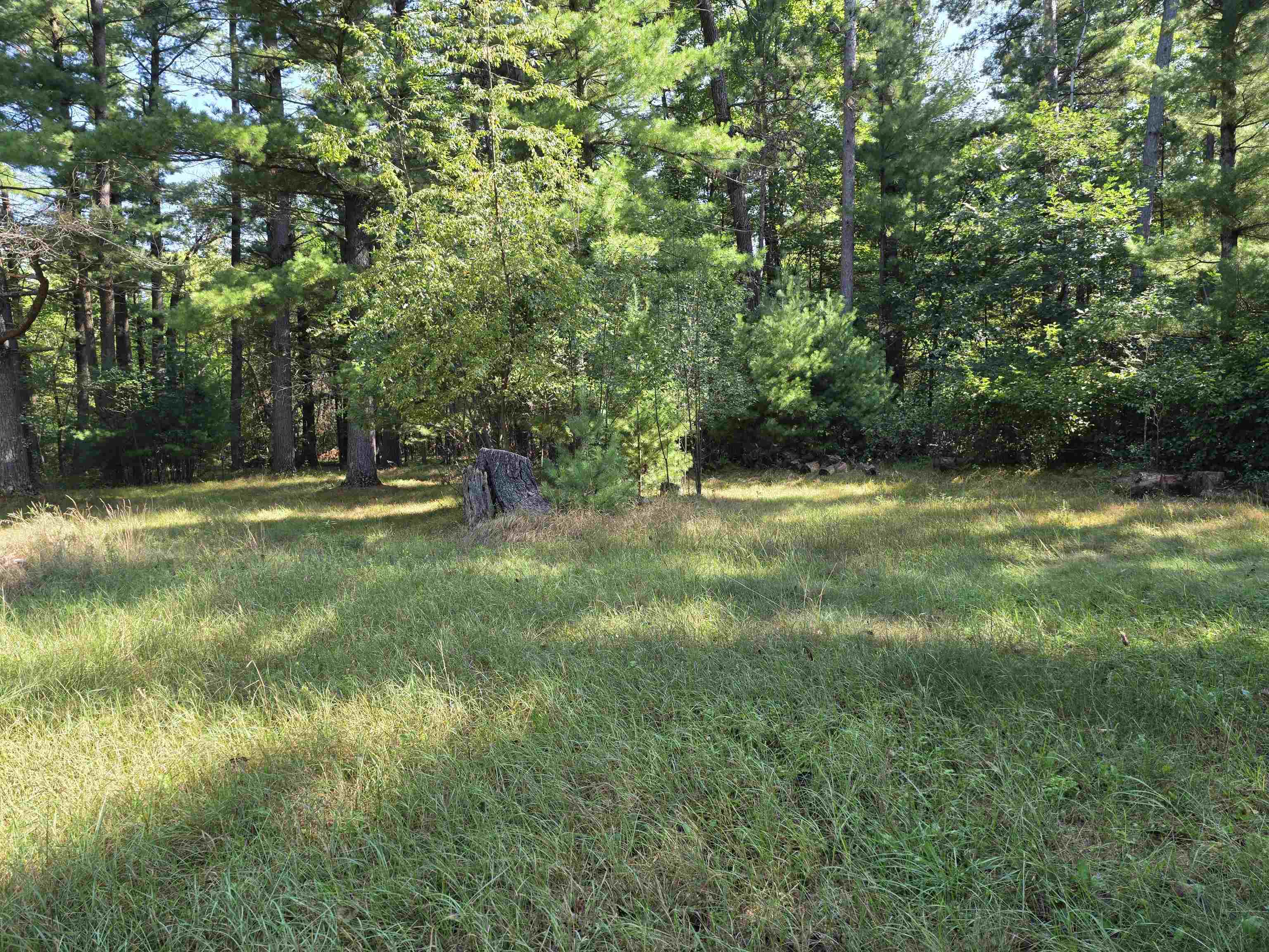 7811 TOWNLINE ROAD, Wisconsin Rapids, Wisconsin 54494, ,Land,For Sale,7811 TOWNLINE ROAD,22604221