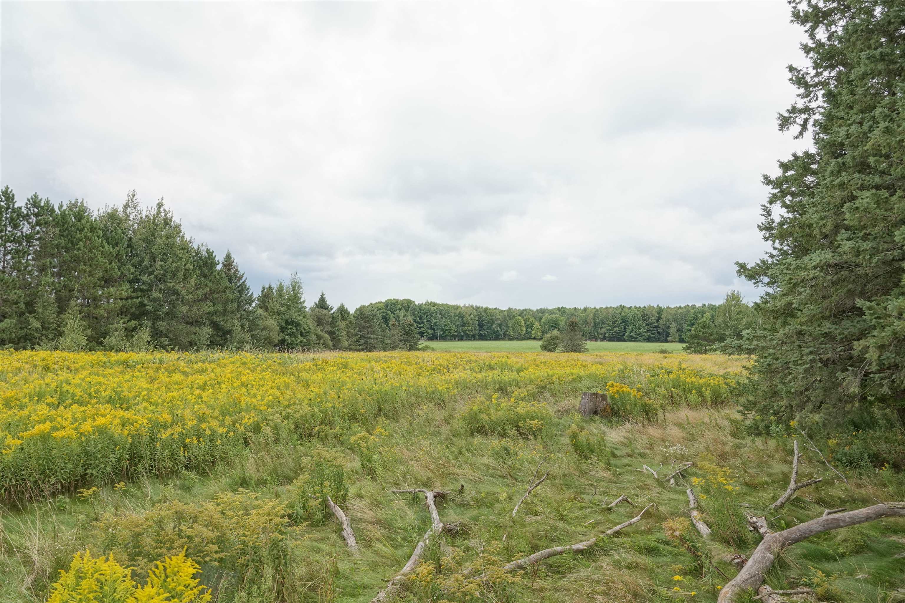 W2832 STATE HIGHWAY 64, Medford, Wisconsin 54451, ,Land,For Sale,W2832 STATE HIGHWAY 64,22604228