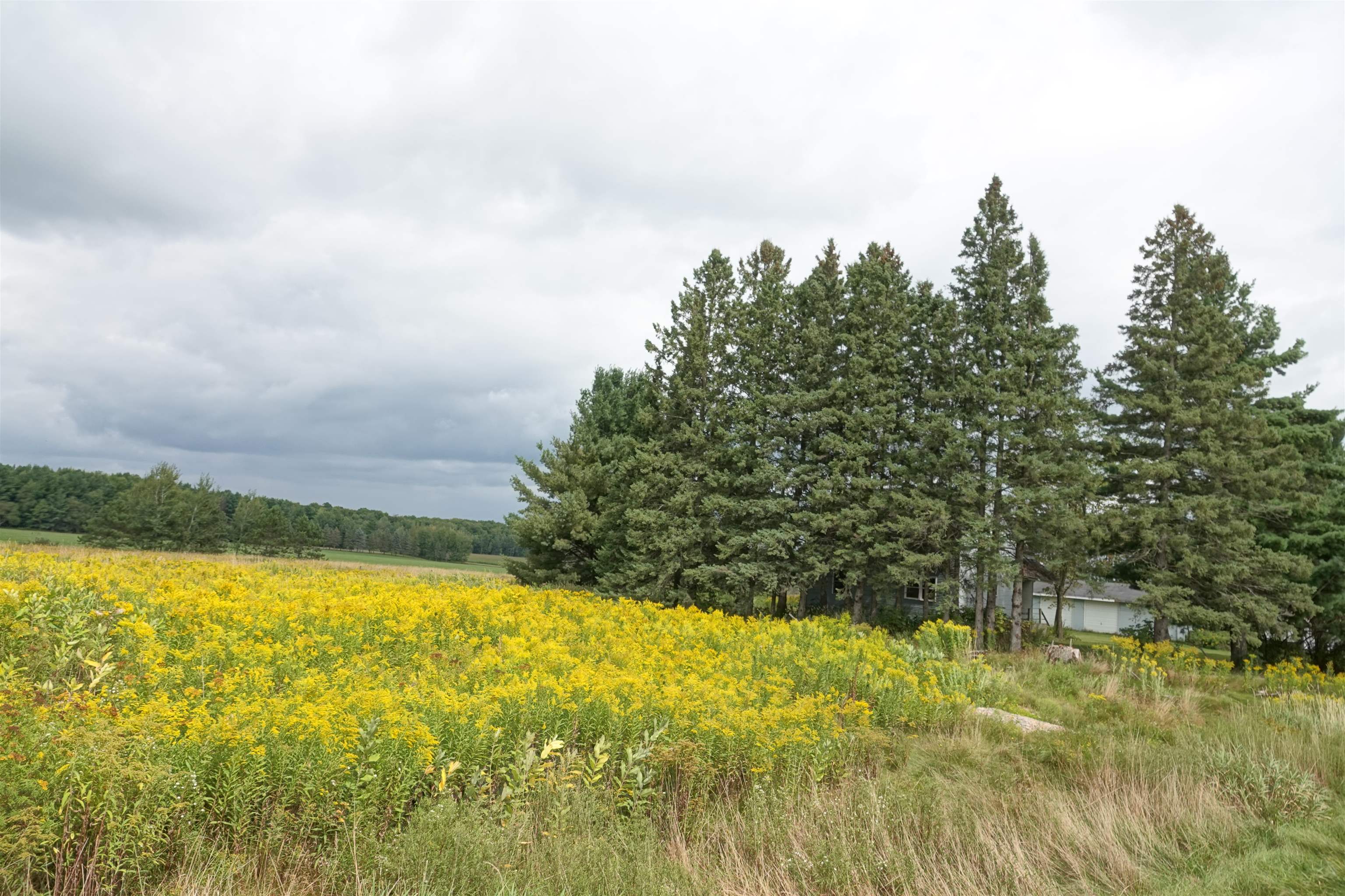 W2832 STATE HIGHWAY 64, Medford, Wisconsin 54451, ,Land,For Sale,W2832 STATE HIGHWAY 64,22604228