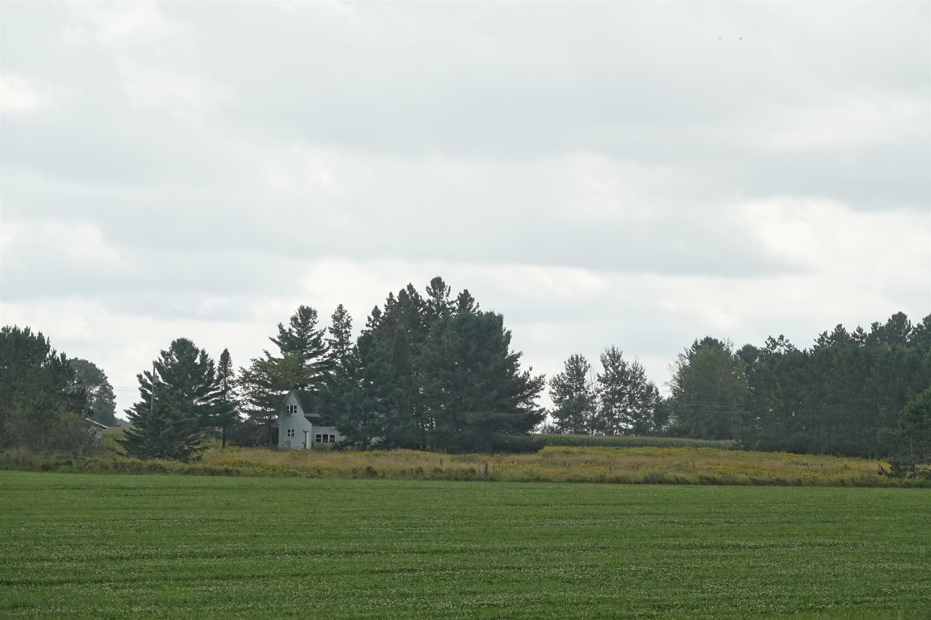 W2832 STATE HIGHWAY 64, Medford, Wisconsin 54451, ,Land,For Sale,W2832 STATE HIGHWAY 64,22604228