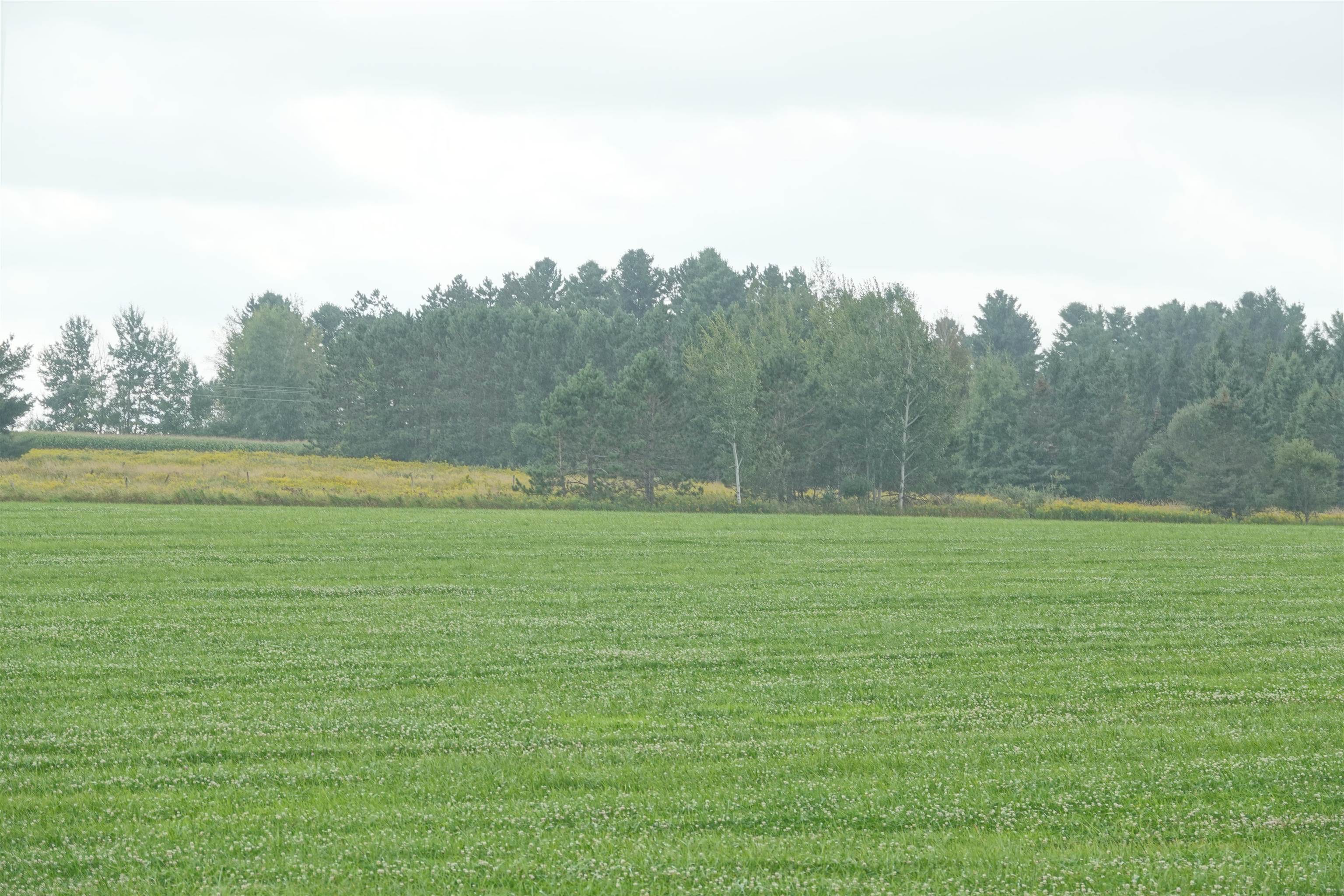 W2832 STATE HIGHWAY 64, Medford, Wisconsin 54451, ,Land,For Sale,W2832 STATE HIGHWAY 64,22604228