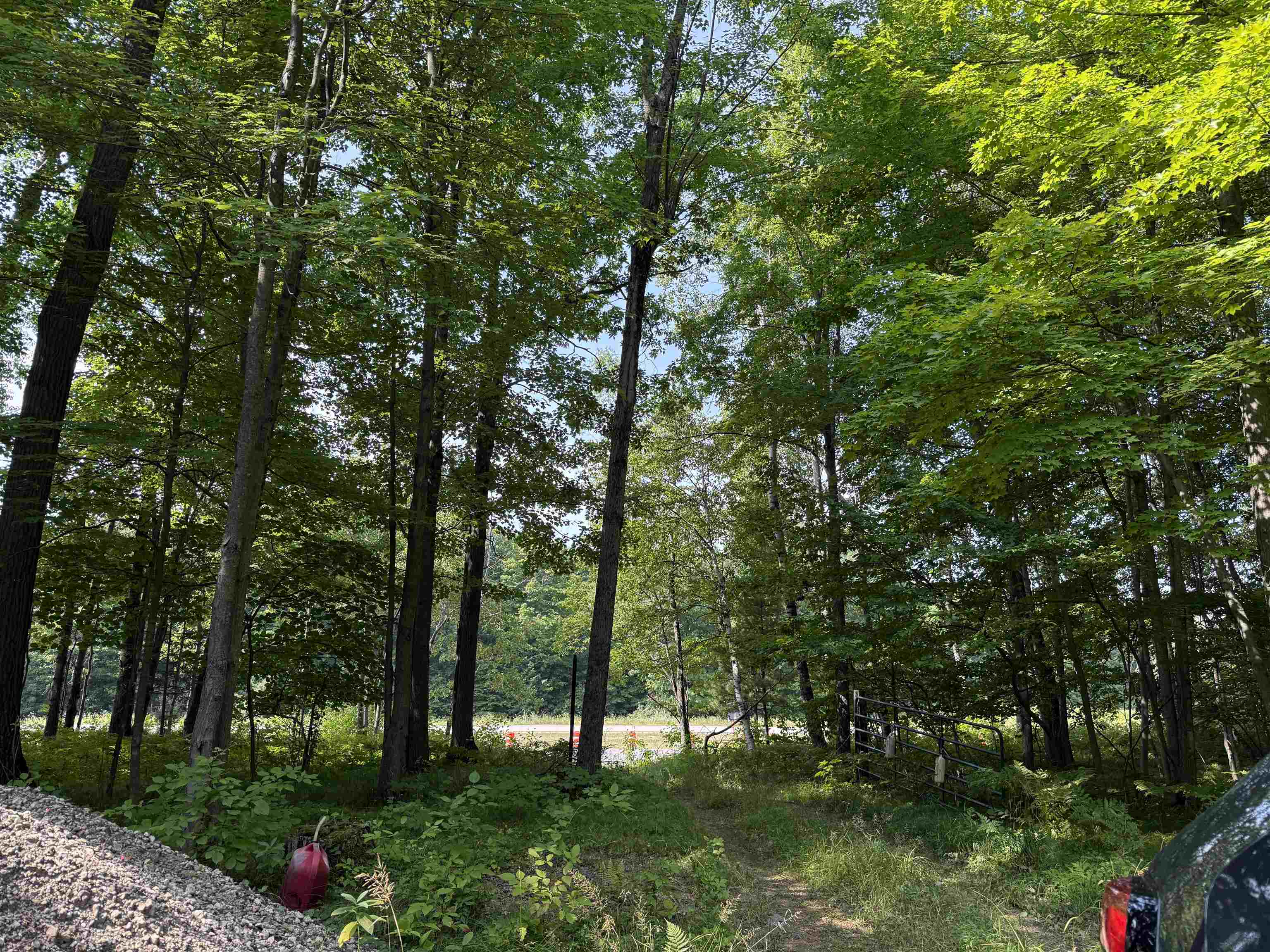 179920 STATE HIGHWAY 29, Hatley, Wisconsin 54440, ,Land,For Sale,179920 STATE HIGHWAY 29,22604251