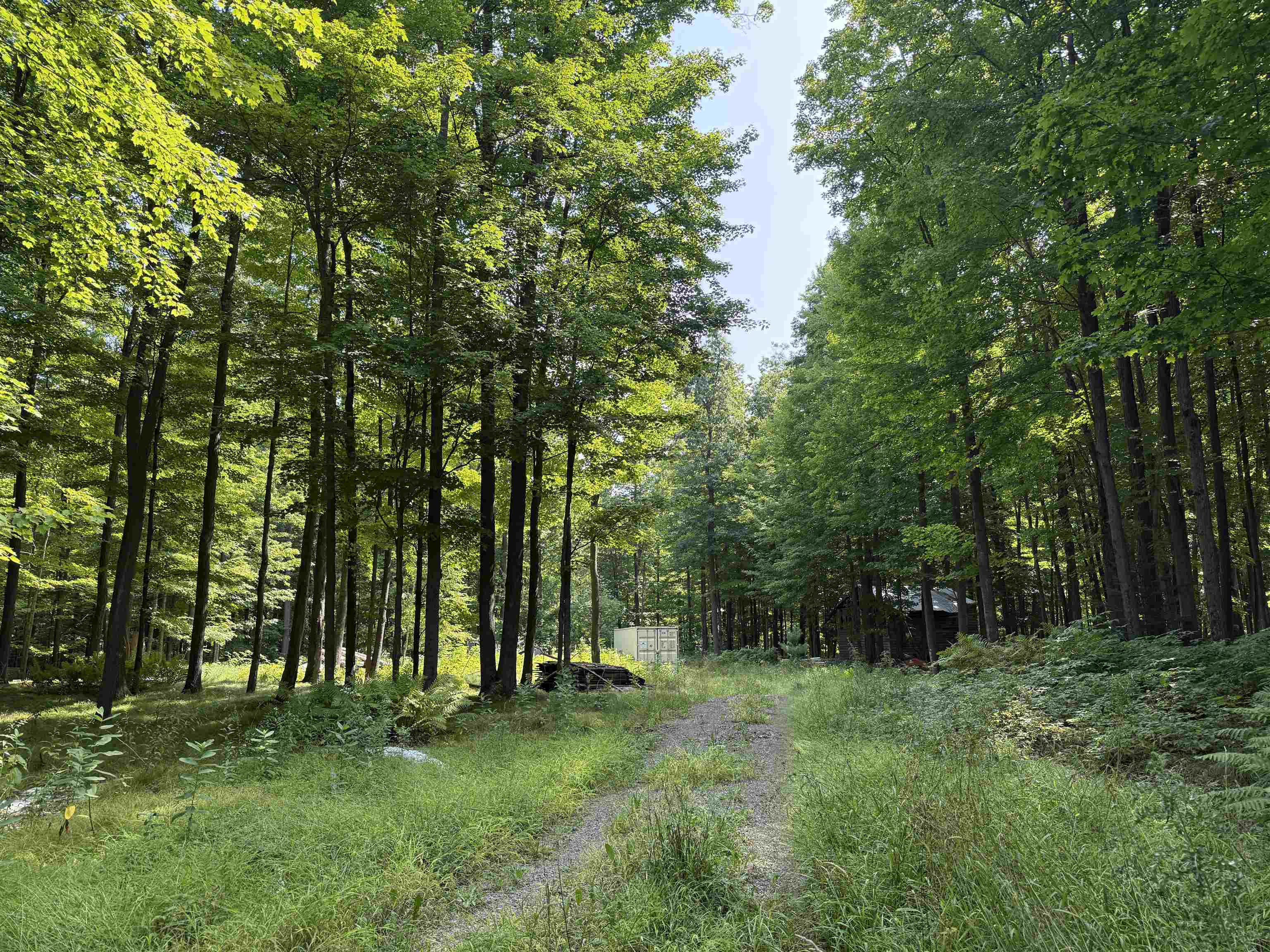 179920 STATE HIGHWAY 29, Hatley, Wisconsin 54440, ,Land,For Sale,179920 STATE HIGHWAY 29,22604251
