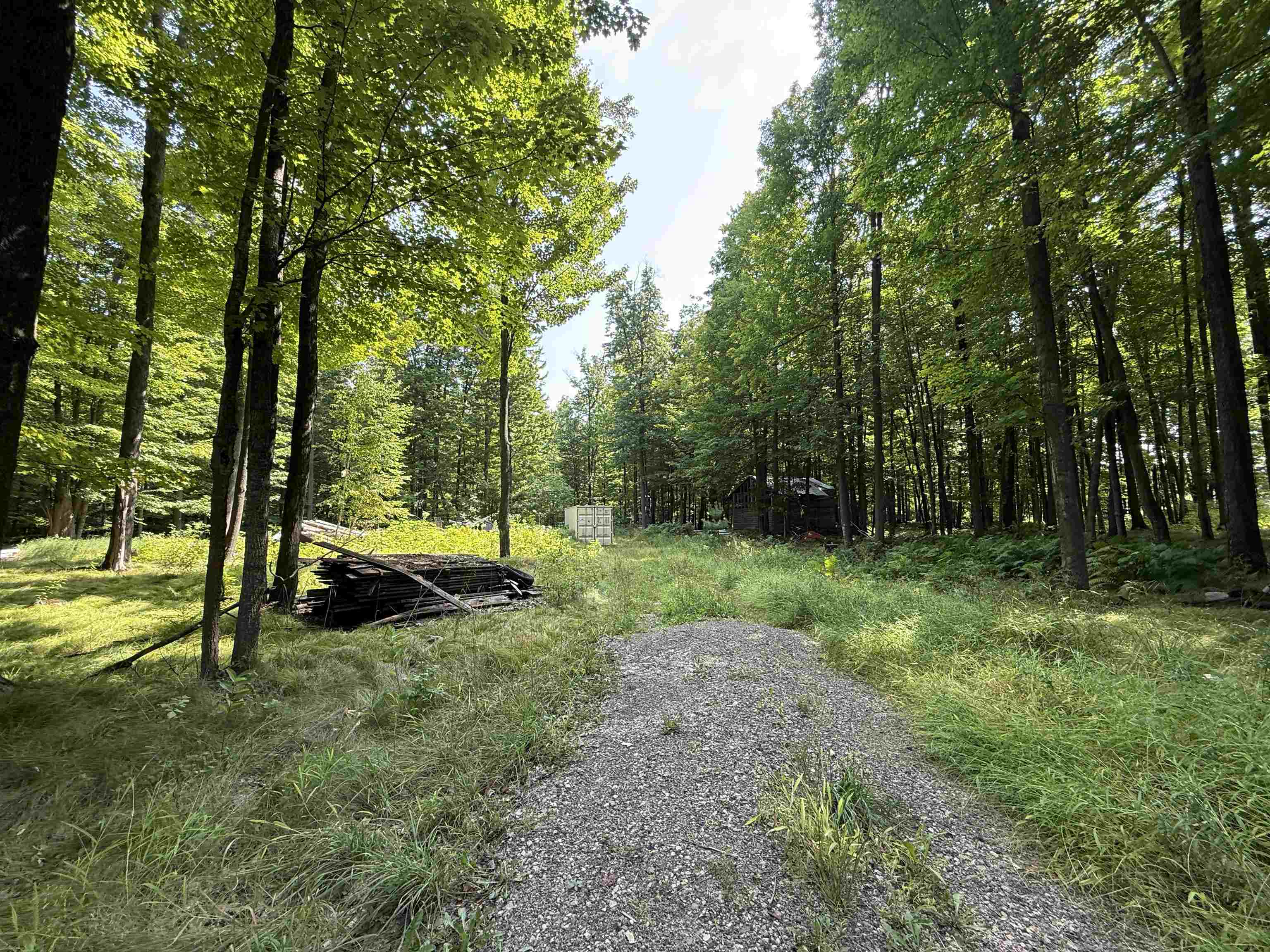 179920 STATE HIGHWAY 29, Hatley, Wisconsin 54440, ,Land,For Sale,179920 STATE HIGHWAY 29,22604251