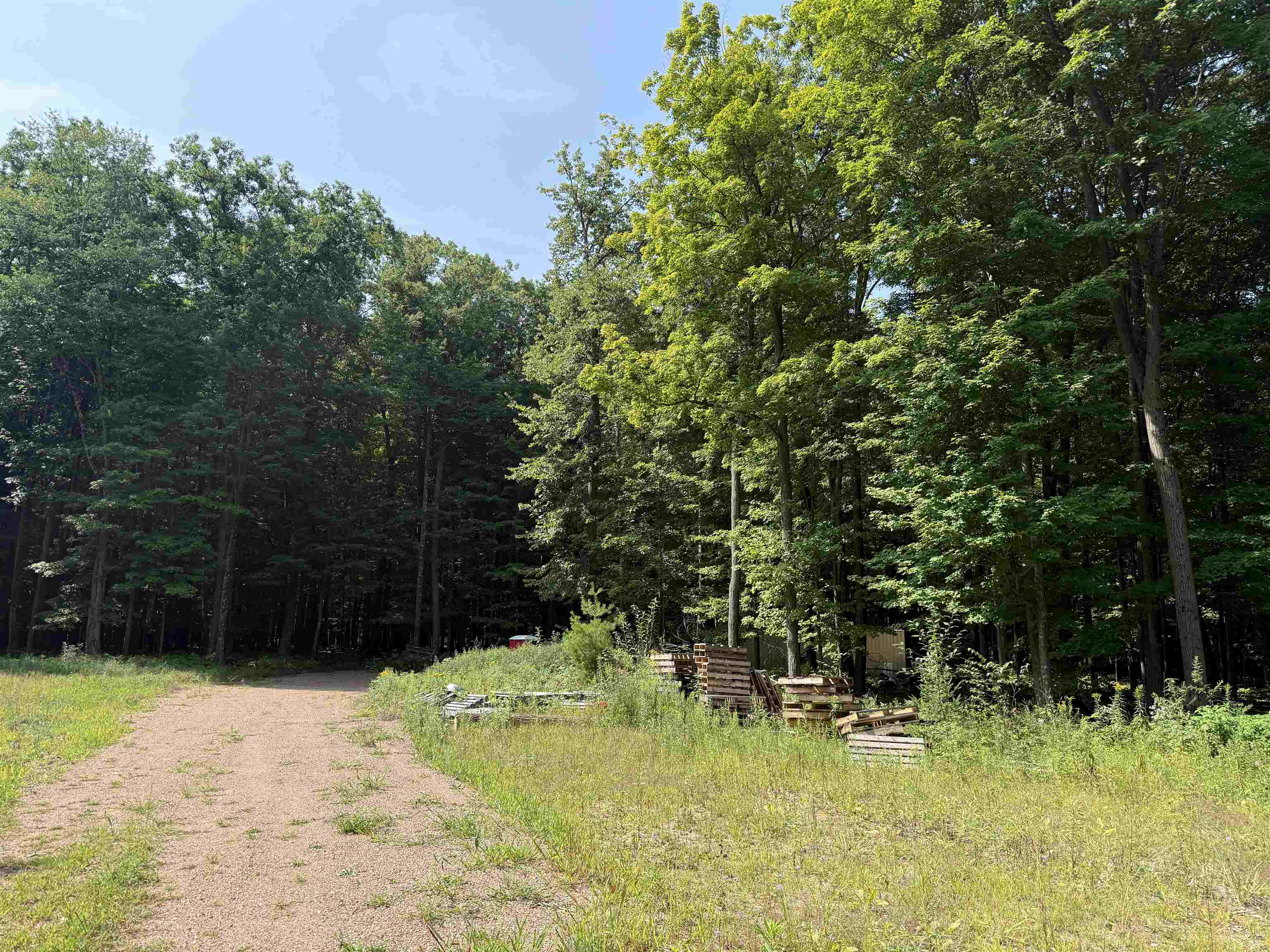 179920 STATE HIGHWAY 29, Hatley, Wisconsin 54440, ,Land,For Sale,179920 STATE HIGHWAY 29,22604251