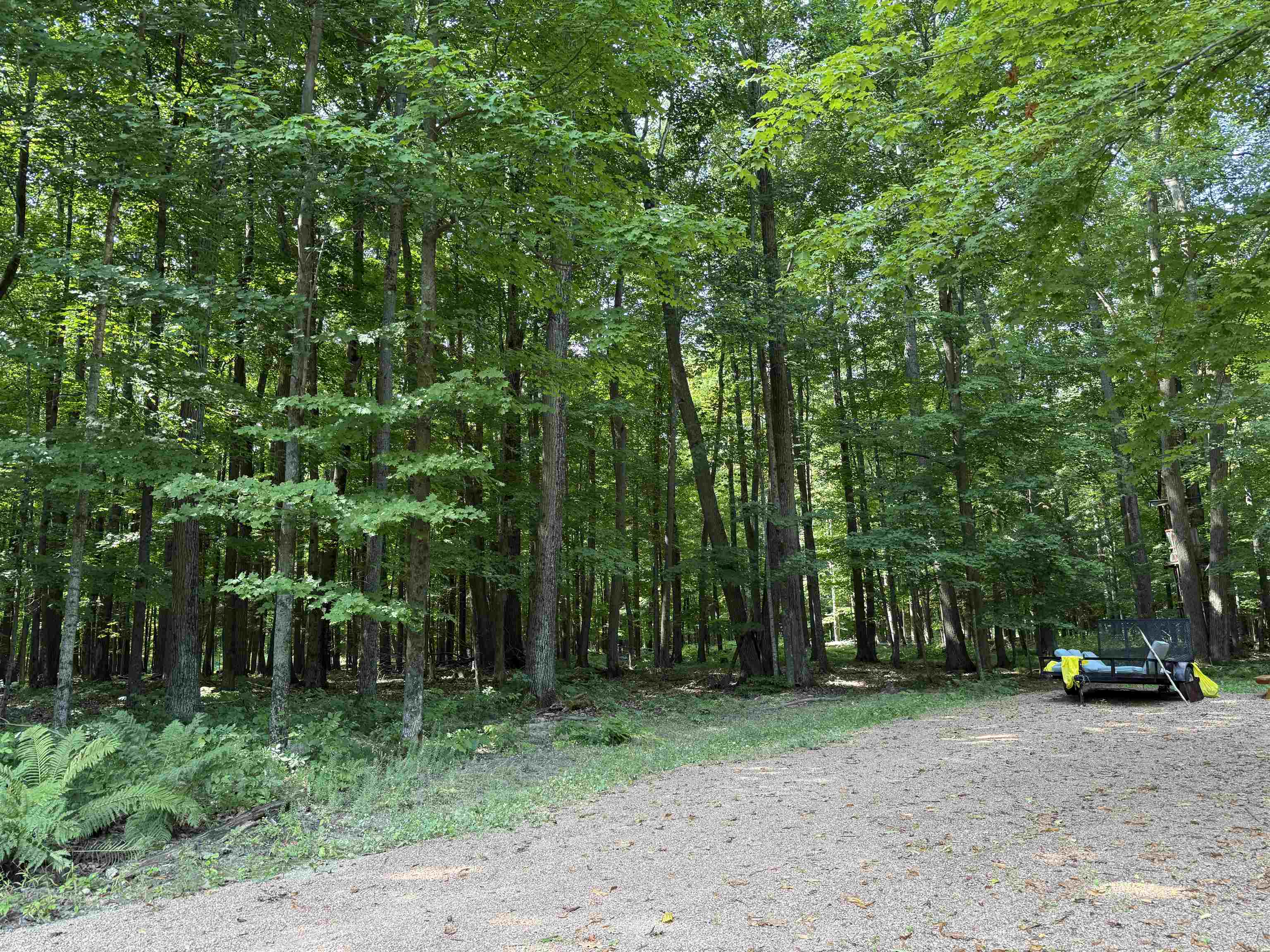 179920 STATE HIGHWAY 29, Hatley, Wisconsin 54440, ,Land,For Sale,179920 STATE HIGHWAY 29,22604251