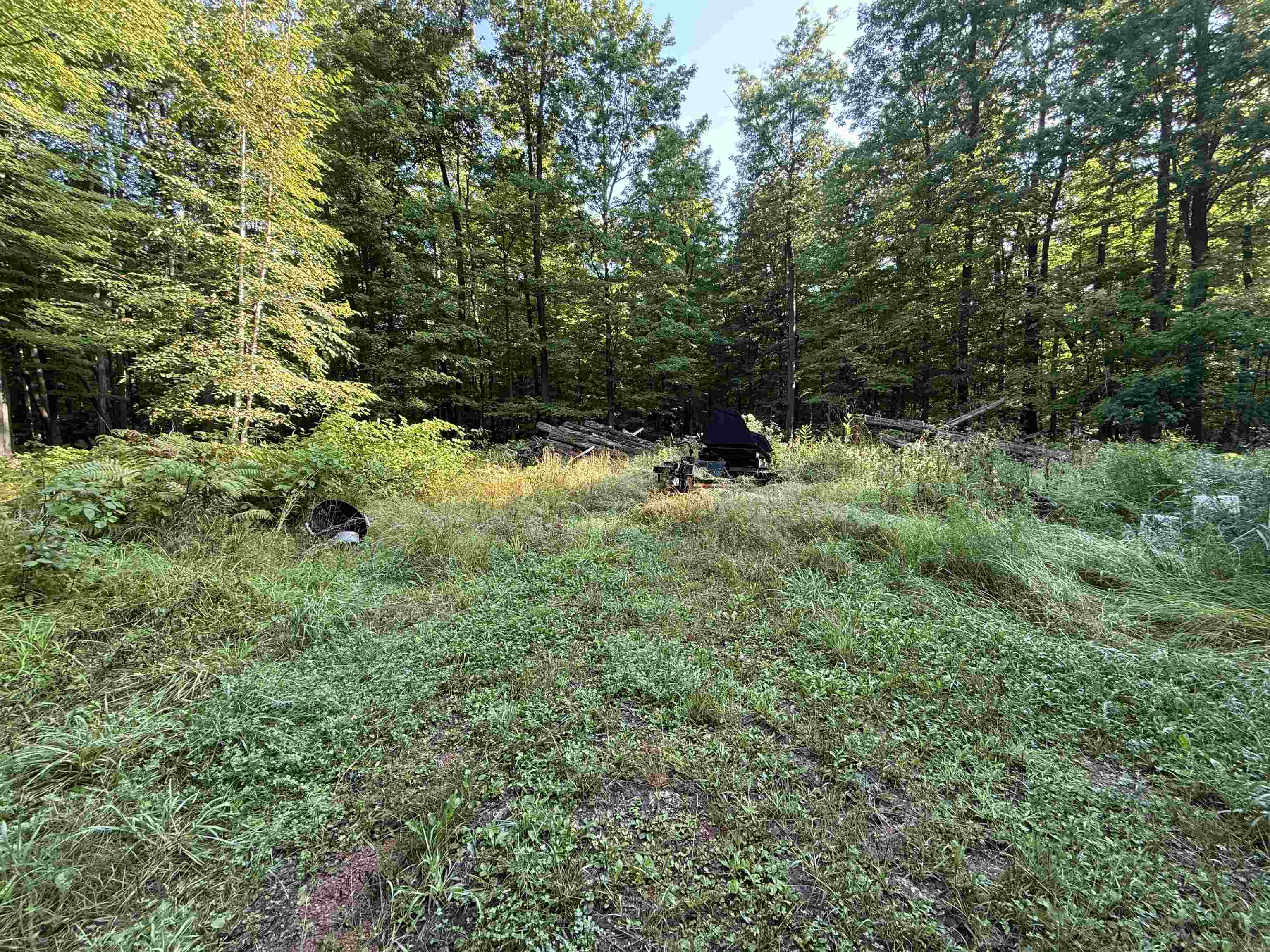 179920 STATE HIGHWAY 29, Hatley, Wisconsin 54440, ,Land,For Sale,179920 STATE HIGHWAY 29,22604251