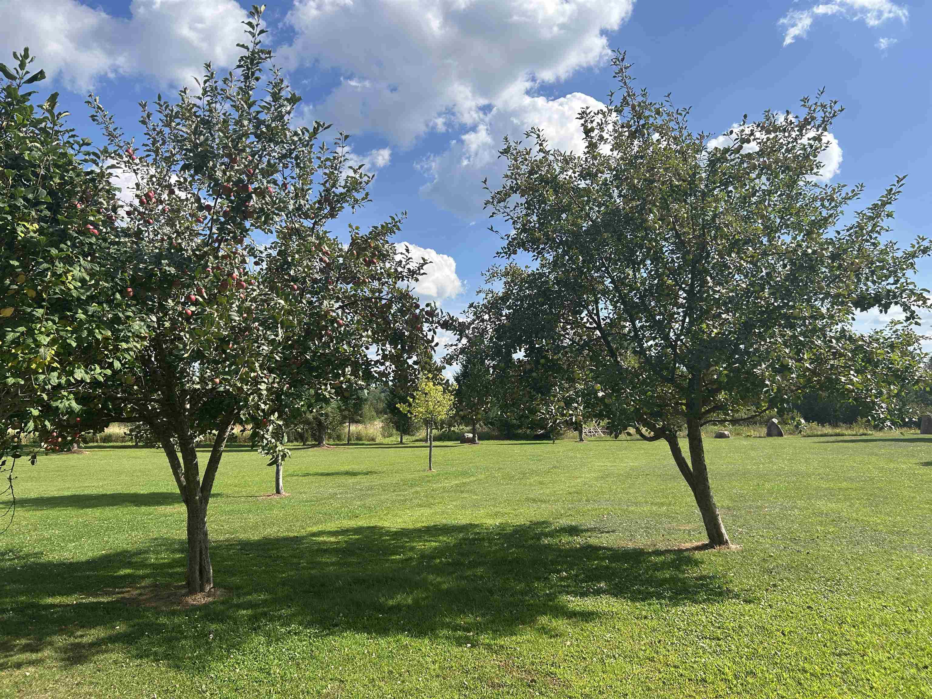 175933 E STATE HIGHWAY 153, Hatley, Wisconsin 54440, 3 Bedrooms Bedrooms, ,3 BathroomsBathrooms,Residential,For Sale,175933 E STATE HIGHWAY 153,22604265