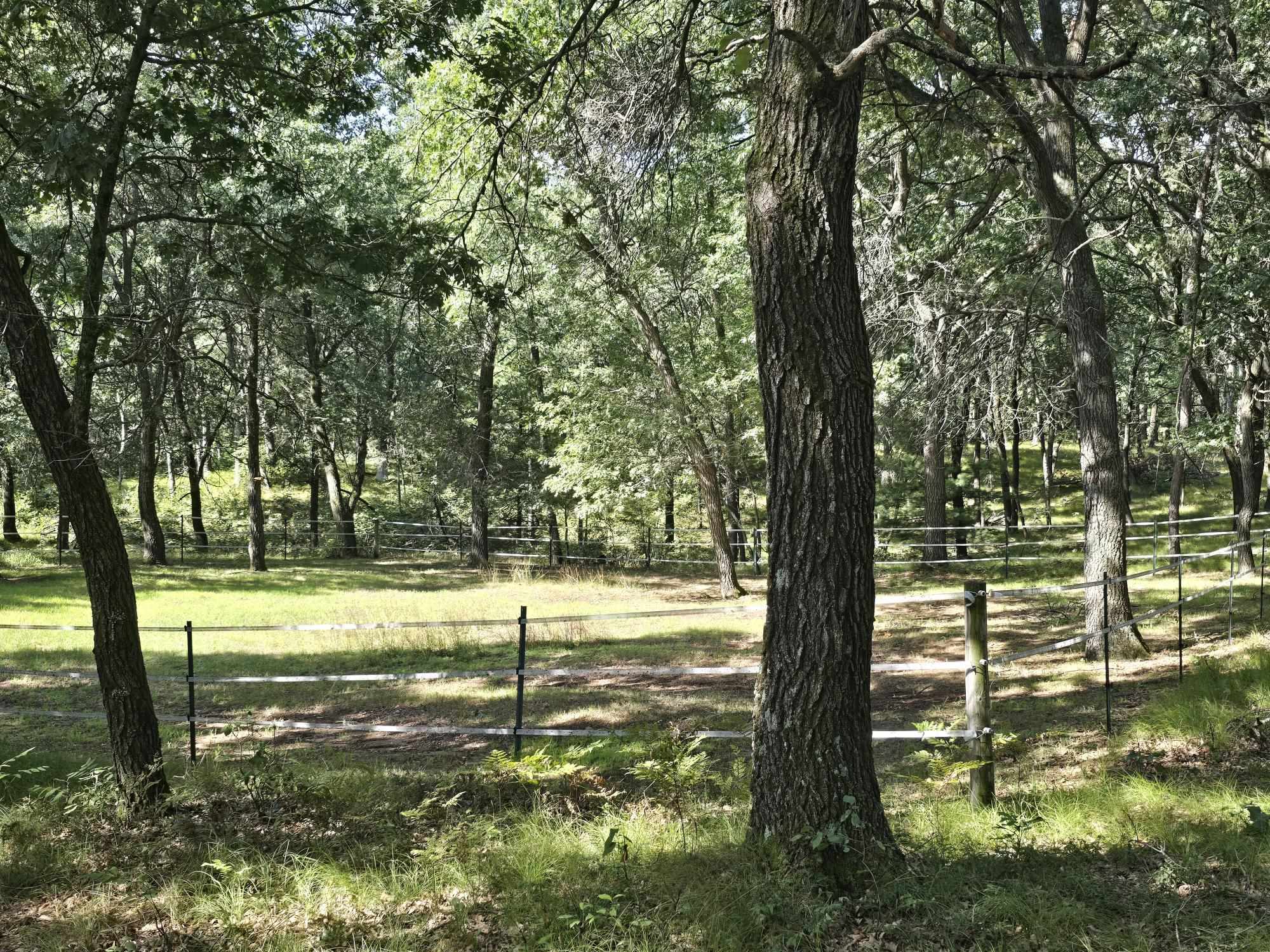 517 REGAL FOREST TRAIL, Nekoosa, Wisconsin 54457, 4 Bedrooms Bedrooms, ,2 BathroomsBathrooms,Residential,For Sale,517 REGAL FOREST TRAIL,22604289