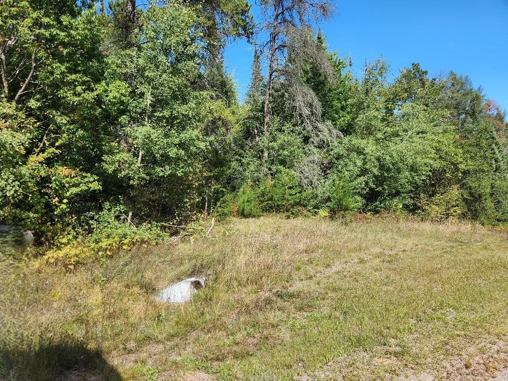 On COUNTY ROAD K, Harshaw, Wisconsin 54529, ,Land,For Sale,On COUNTY ROAD K,22604295