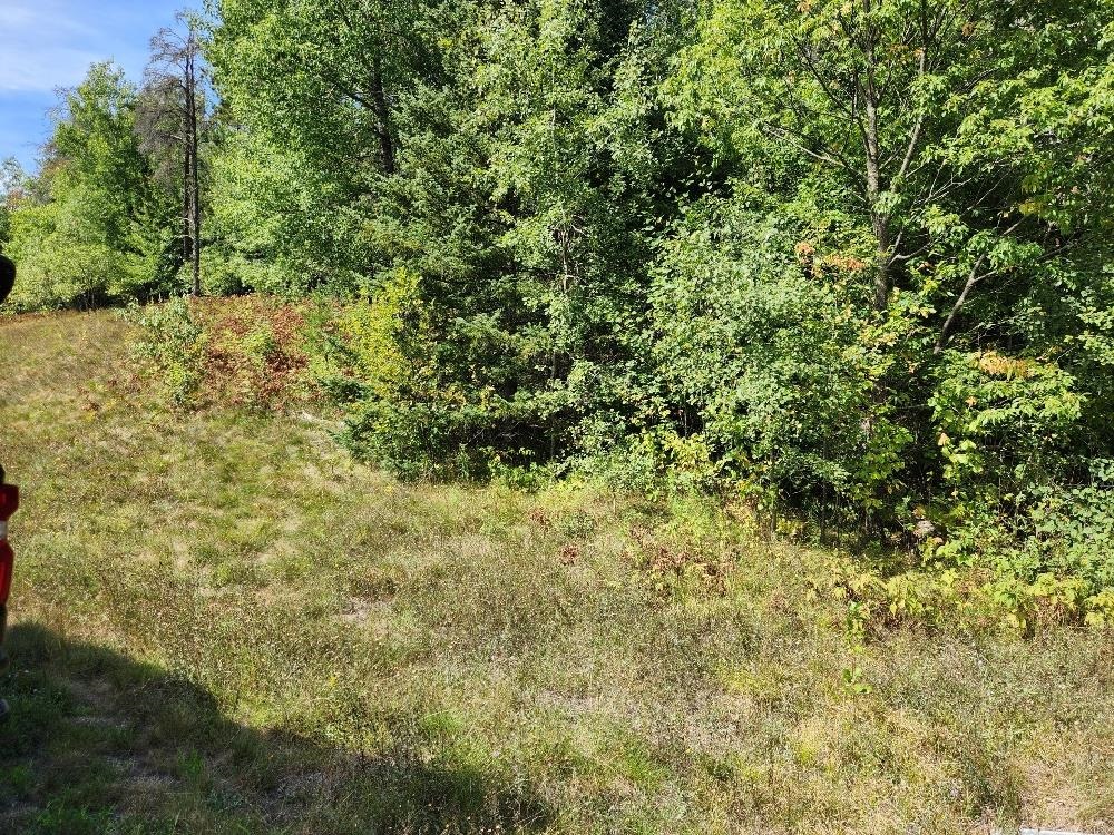 On COUNTY ROAD K, Harshaw, Wisconsin 54529, ,Land,For Sale,On COUNTY ROAD K,22604295