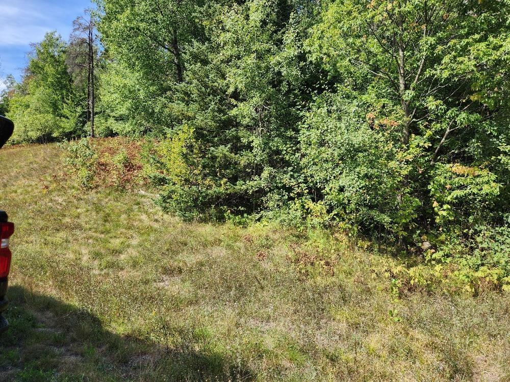 On COUNTY ROAD K, Harshaw, Wisconsin 54529, ,Land,For Sale,On COUNTY ROAD K,22604295
