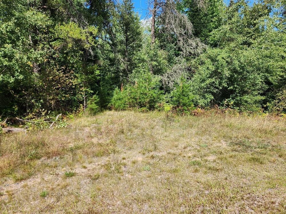 On COUNTY ROAD K, Harshaw, Wisconsin 54529, ,Land,For Sale,On COUNTY ROAD K,22604295