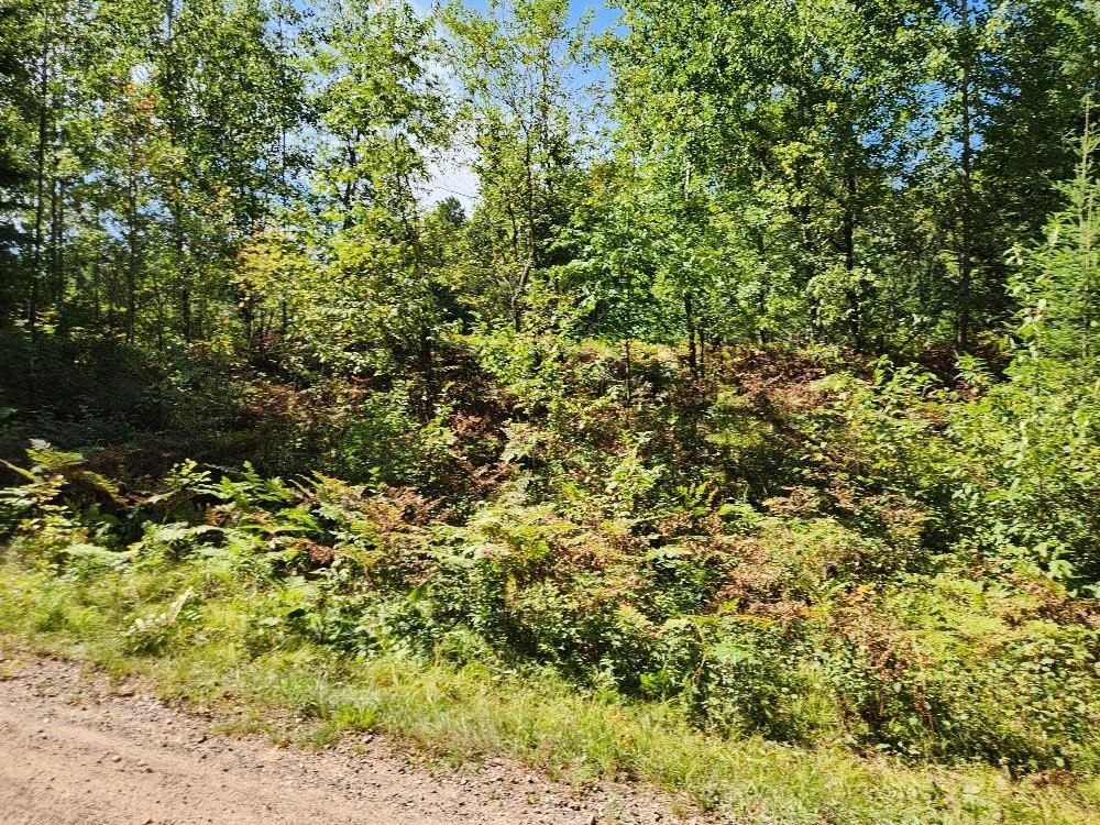 On COUNTY ROAD K, Harshaw, Wisconsin 54529, ,Land,For Sale,On COUNTY ROAD K,22604298