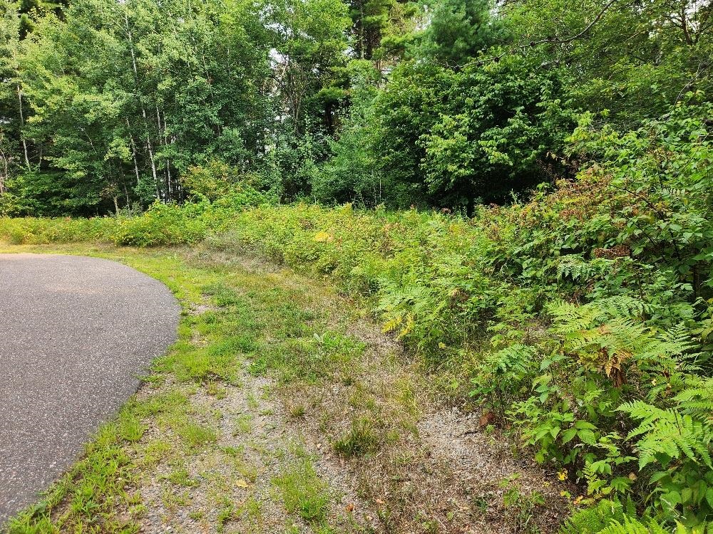 On GRAND PINES DRIVE, Tomahawk, Wisconsin 54487, ,Land,For Sale,On GRAND PINES DRIVE,22604303