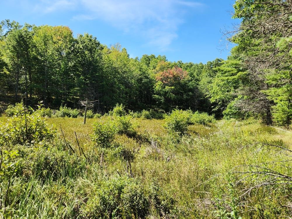 On GRAND PINES DRIVE, Tomahawk, Wisconsin 54487, ,Land,For Sale,On GRAND PINES DRIVE,22604303