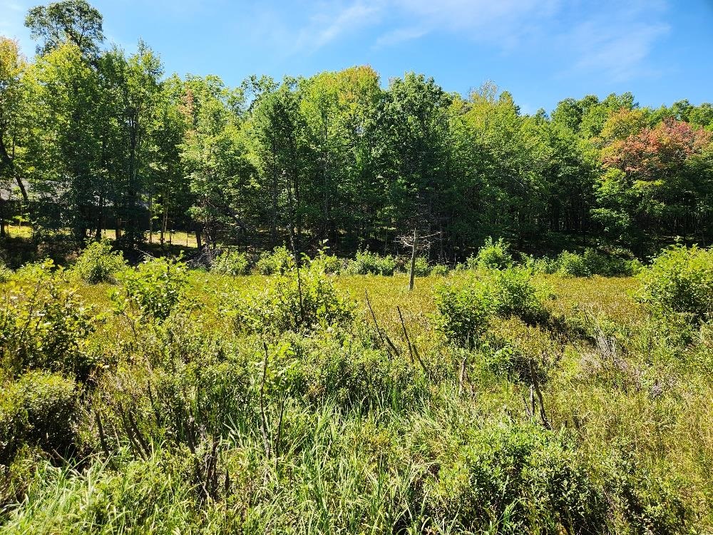On GRAND PINES DRIVE, Tomahawk, Wisconsin 54487, ,Land,For Sale,On GRAND PINES DRIVE,22604303