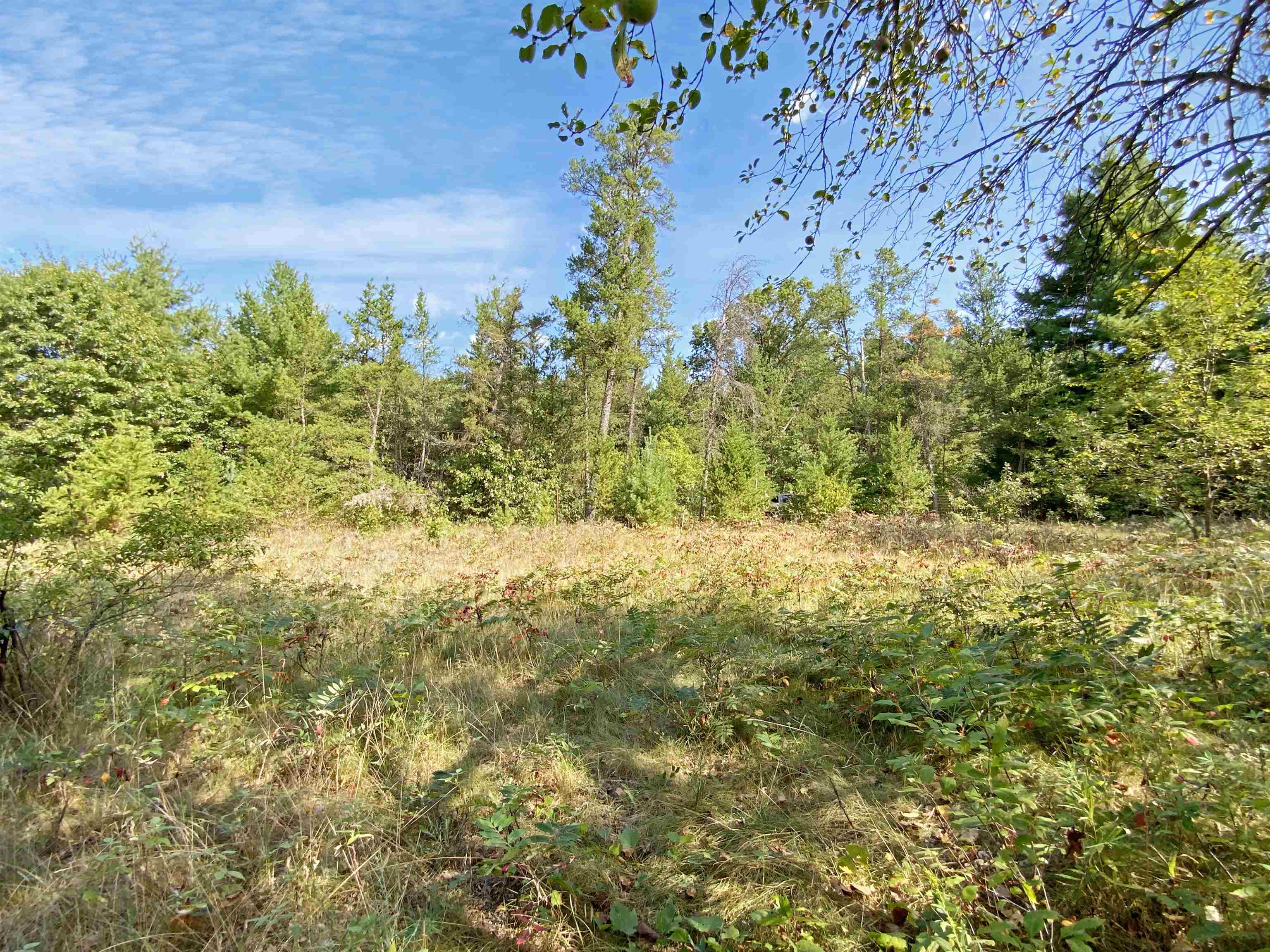 N10595 TRINITY WAY, Necedah, Wisconsin 54646, ,1 BathroomBathrooms,Residential,For Sale,N10595 TRINITY WAY,22604315