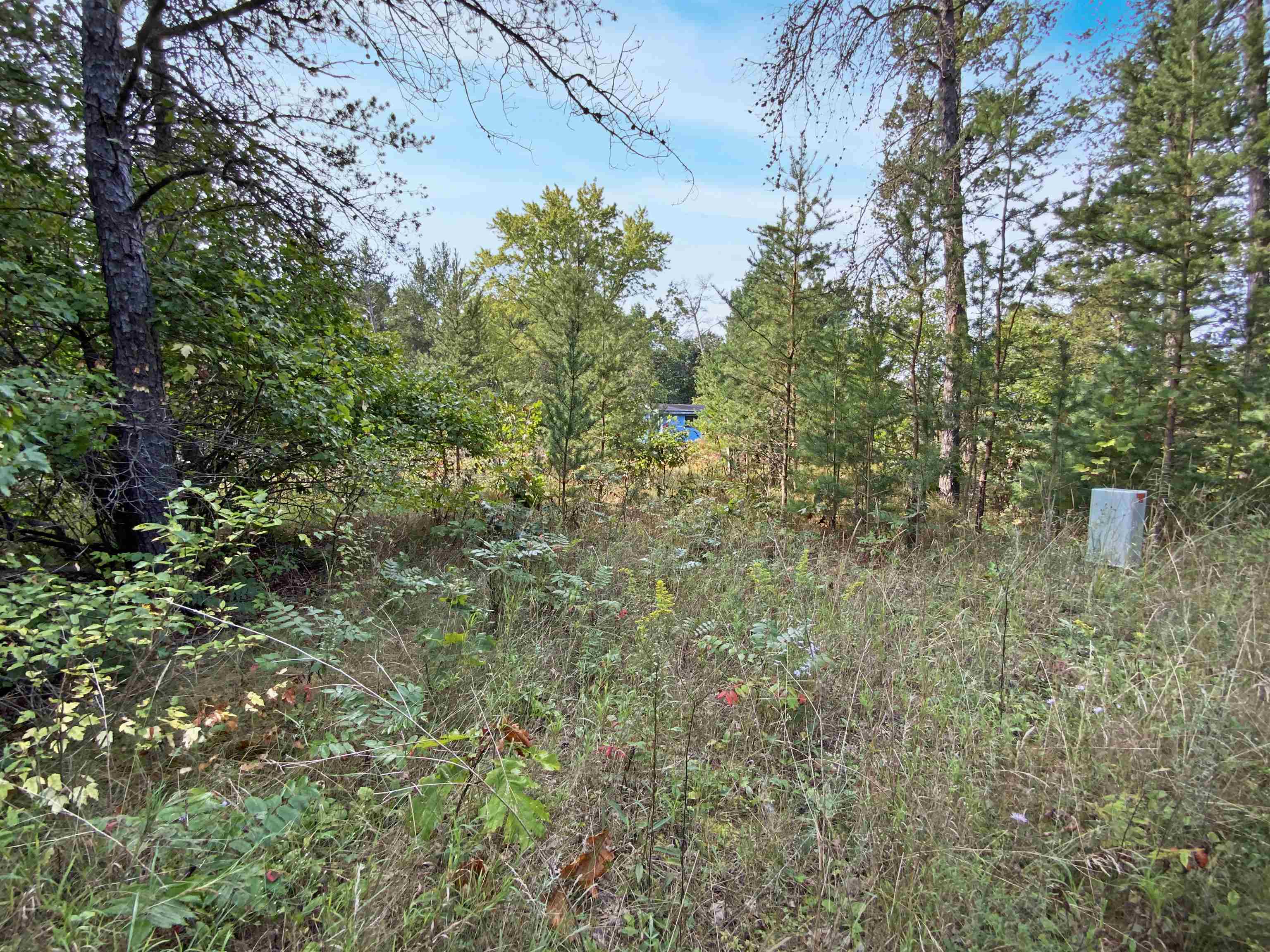 N10595 TRINITY WAY, Necedah, Wisconsin 54646, ,1 BathroomBathrooms,Residential,For Sale,N10595 TRINITY WAY,22604315