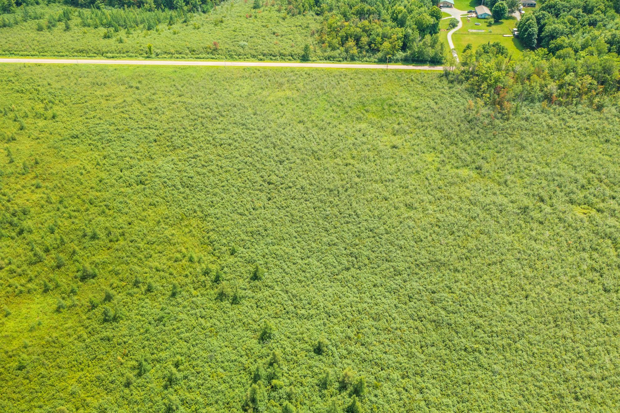 40 acres SHOREY AVENUE, Weston, Wisconsin 54476, ,Land,For Sale,40 acres SHOREY AVENUE,22604350