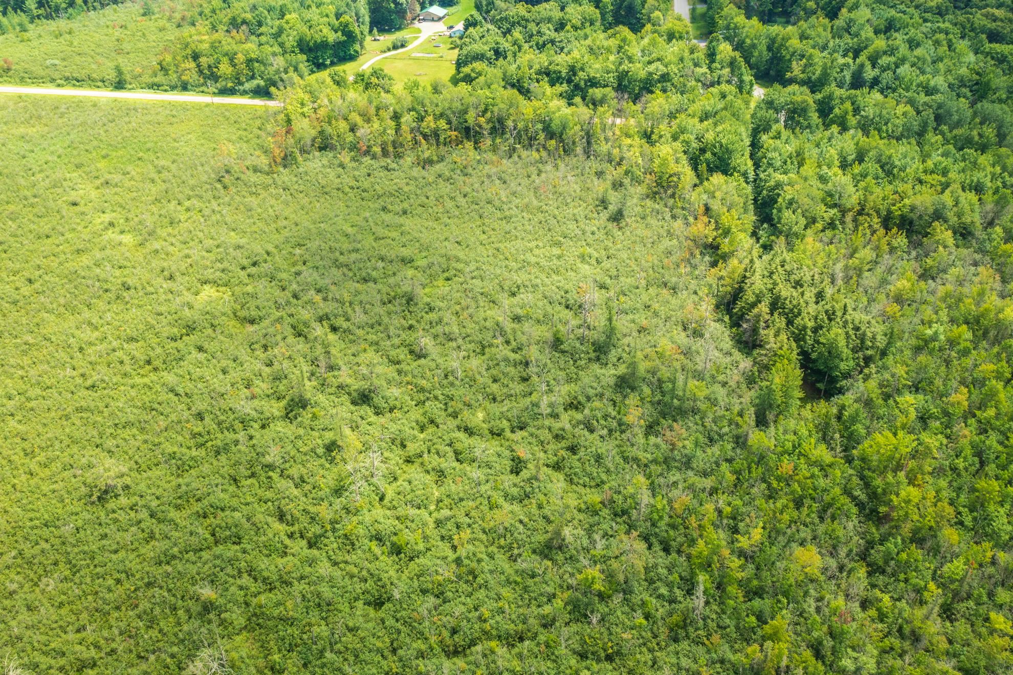 40 acres SHOREY AVENUE, Weston, Wisconsin 54476, ,Land,For Sale,40 acres SHOREY AVENUE,22604350