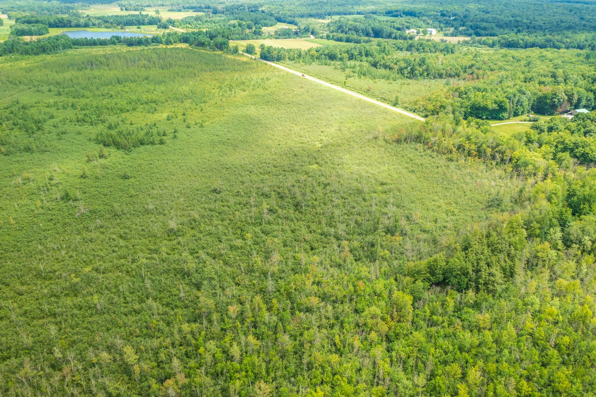 40 acres SHOREY AVENUE, Weston, Wisconsin 54476, ,Land,For Sale,40 acres SHOREY AVENUE,22604350