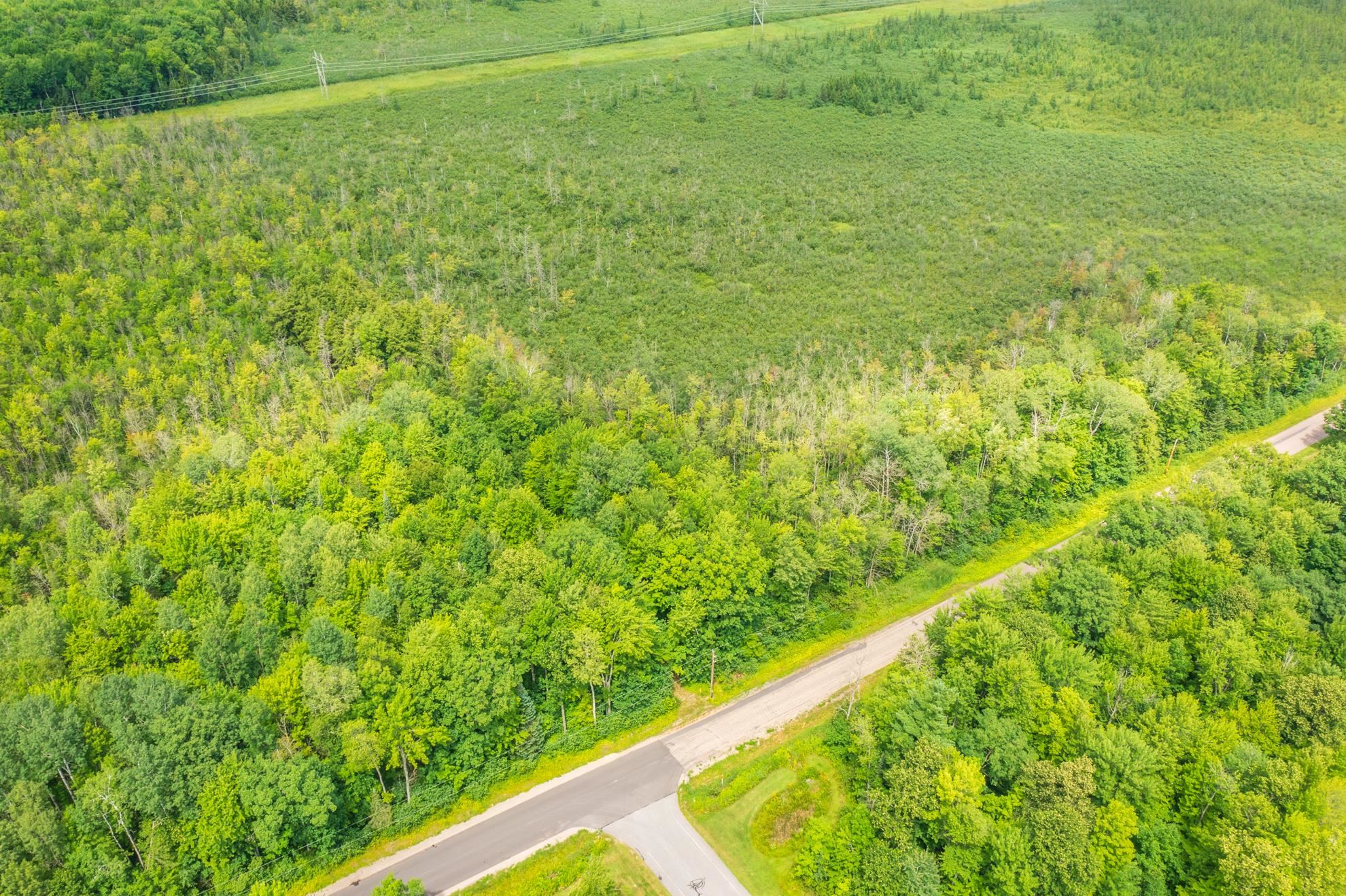 40 acres SHOREY AVENUE, Weston, Wisconsin 54476, ,Land,For Sale,40 acres SHOREY AVENUE,22604350