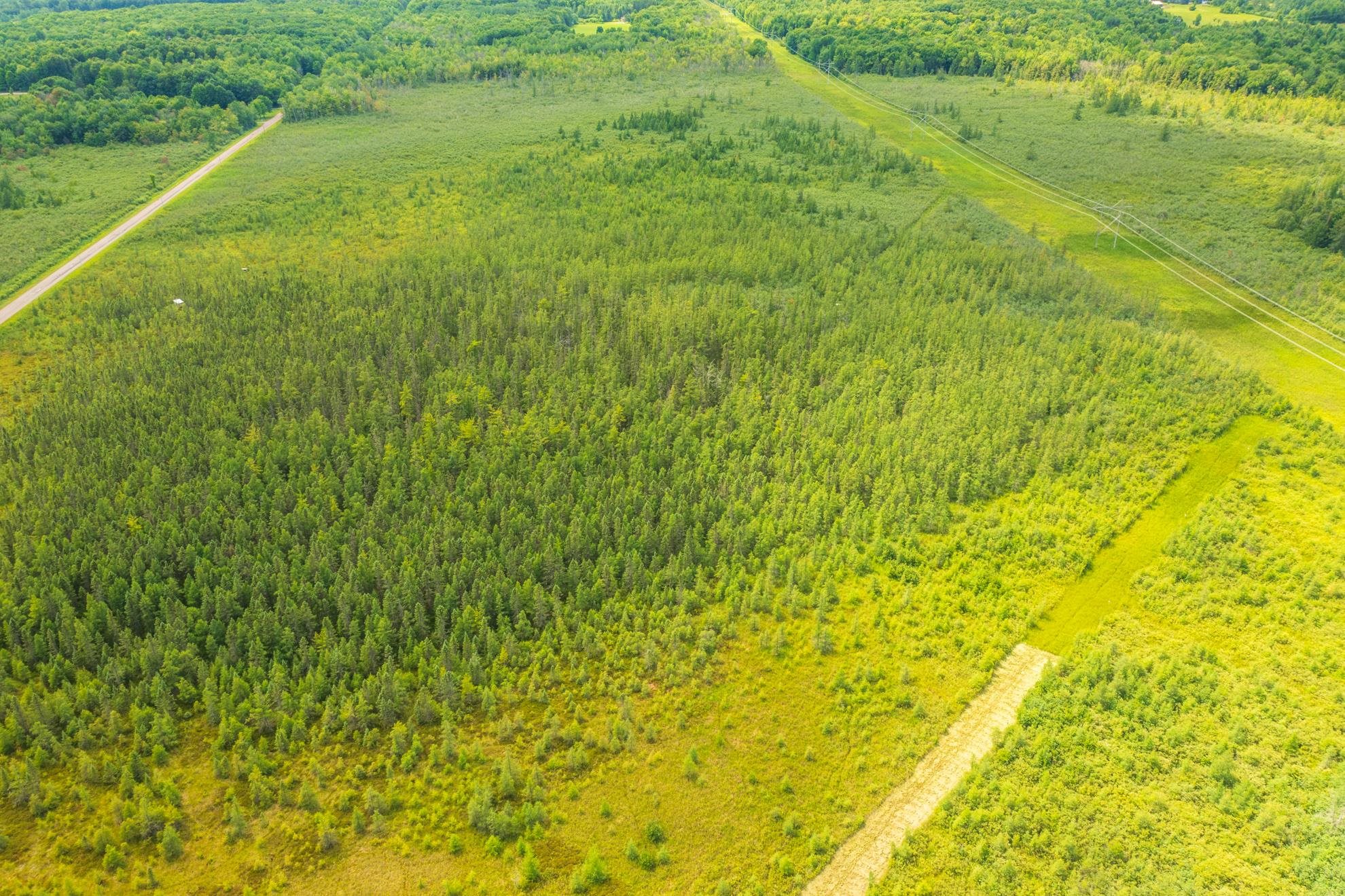 40 acres SHOREY AVENUE, Weston, Wisconsin 54476, ,Land,For Sale,40 acres SHOREY AVENUE,22604350