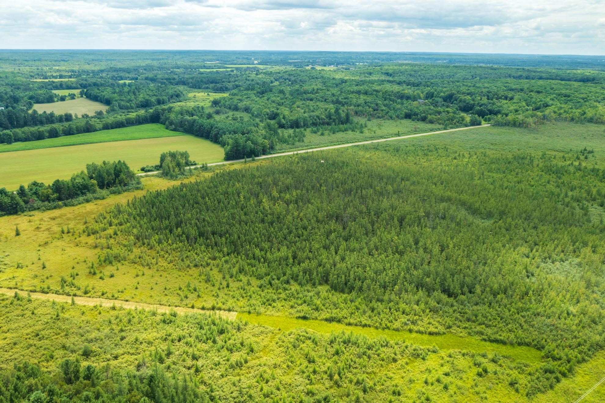 40 acres SHOREY AVENUE, Weston, Wisconsin 54476, ,Land,For Sale,40 acres SHOREY AVENUE,22604350