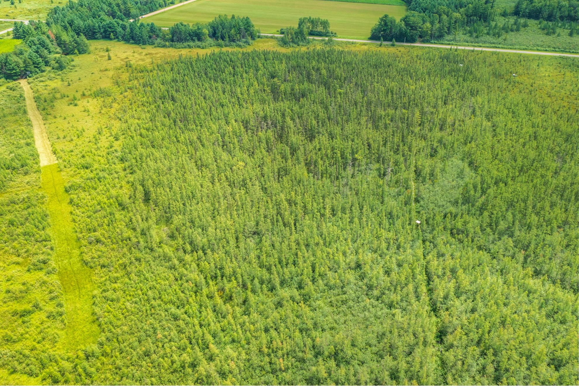 40 acres SHOREY AVENUE, Weston, Wisconsin 54476, ,Land,For Sale,40 acres SHOREY AVENUE,22604350