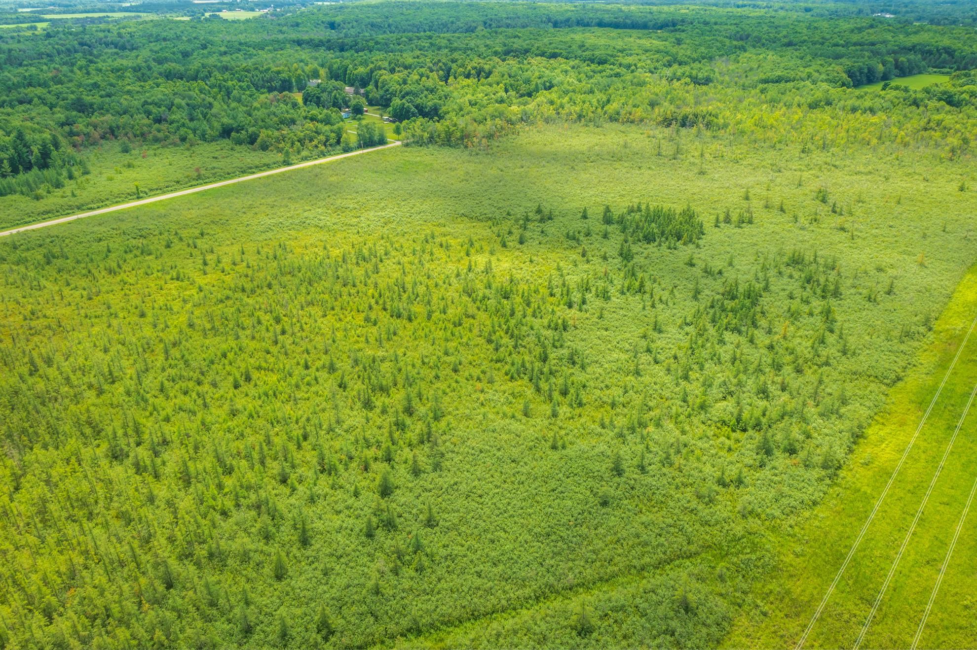 40 acres SHOREY AVENUE, Weston, Wisconsin 54476, ,Land,For Sale,40 acres SHOREY AVENUE,22604350