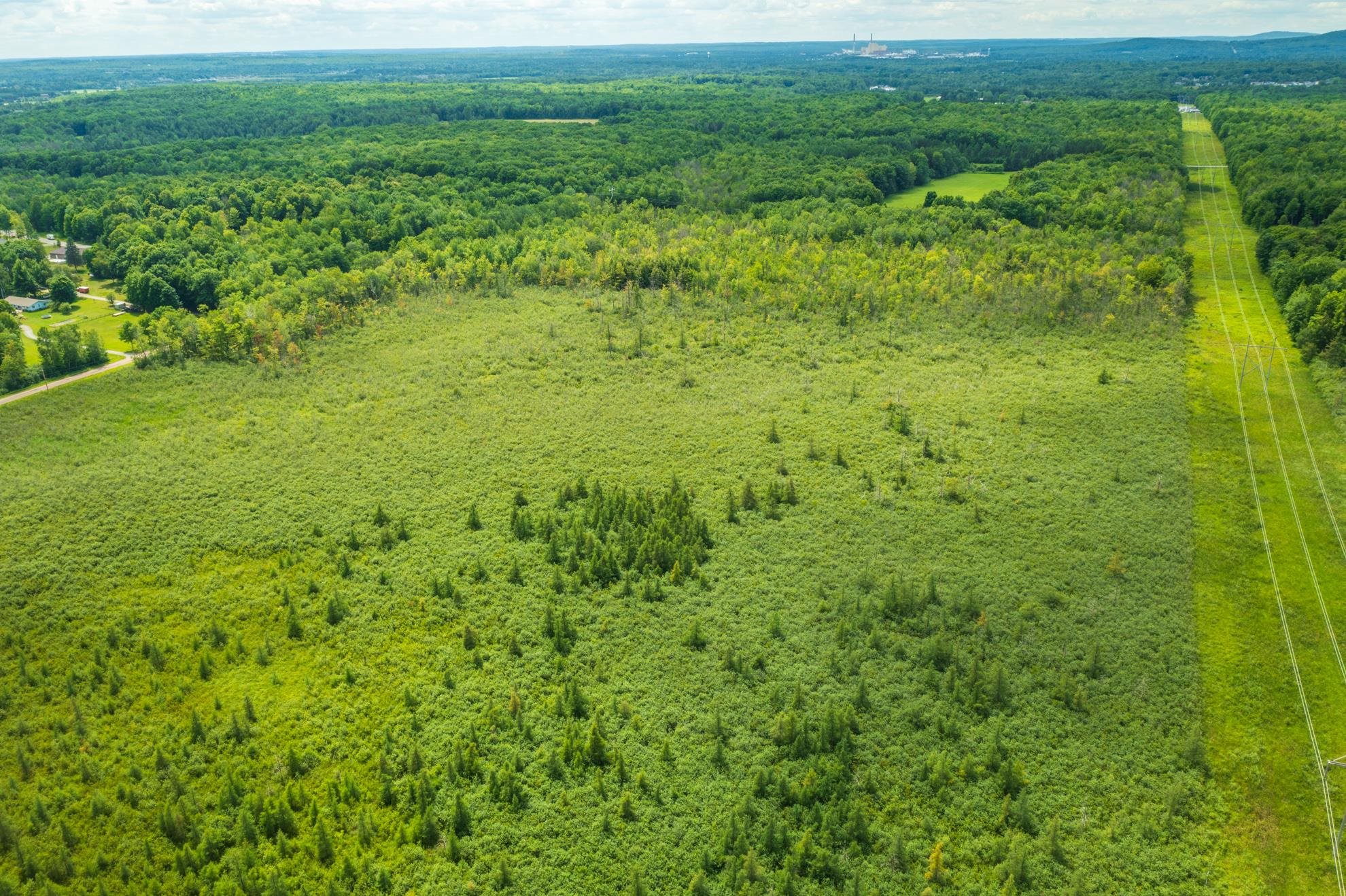 40 acres SHOREY AVENUE, Weston, Wisconsin 54476, ,Land,For Sale,40 acres SHOREY AVENUE,22604350