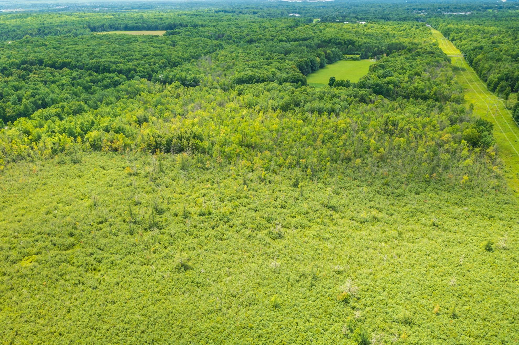 40 acres SHOREY AVENUE, Weston, Wisconsin 54476, ,Land,For Sale,40 acres SHOREY AVENUE,22604350