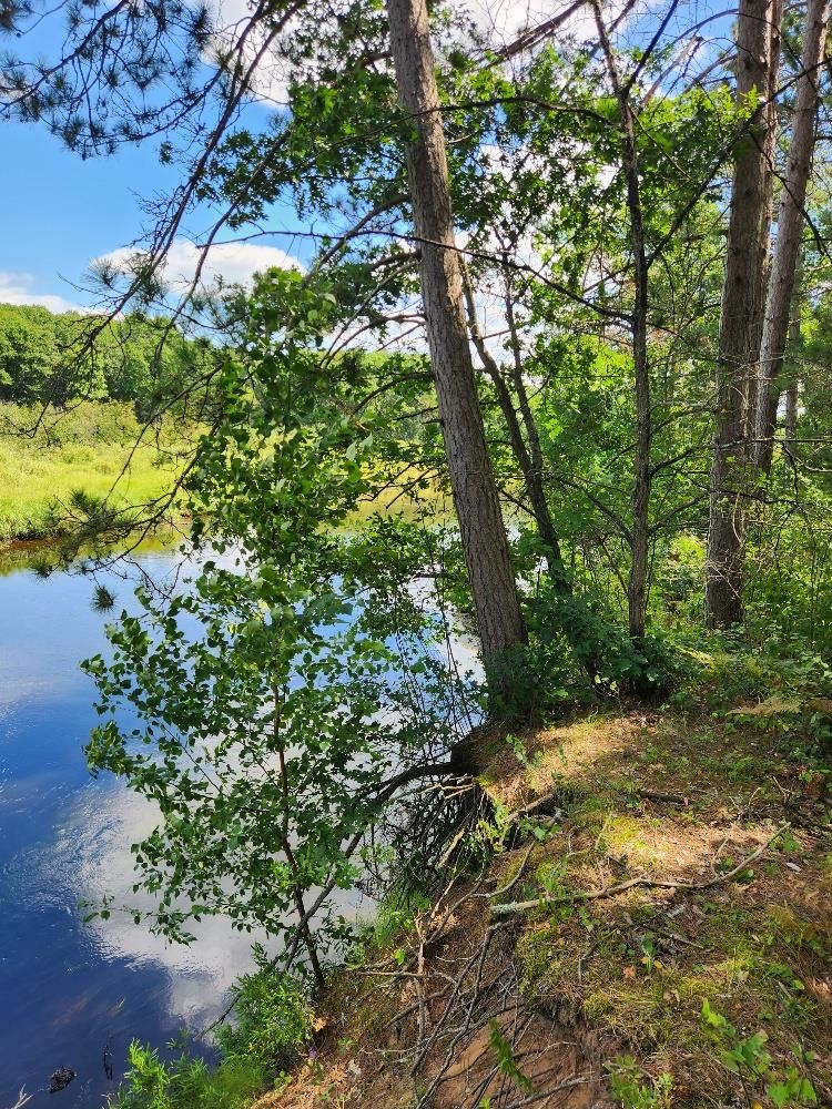 On PRAIRIE LAKE ROAD, Tomahawk, Wisconsin 54487, ,Land,For Sale,On PRAIRIE LAKE ROAD,22604359