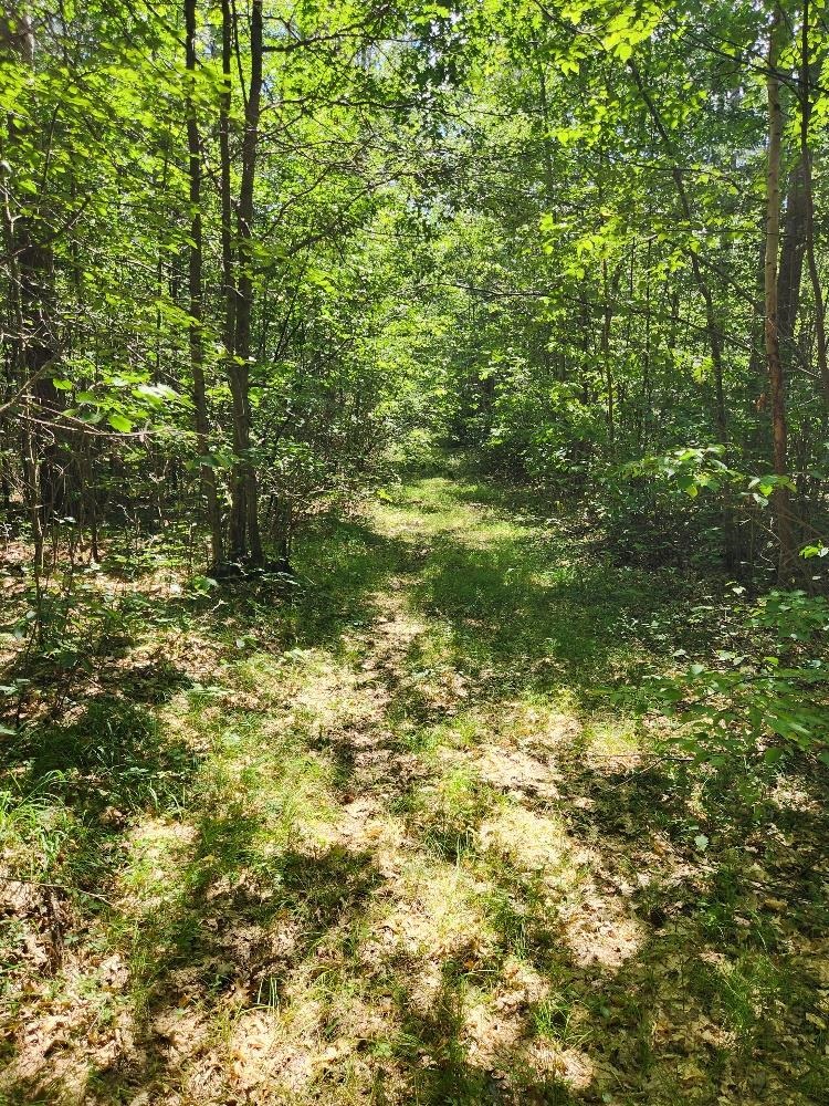On PRAIRIE LAKE ROAD, Tomahawk, Wisconsin 54487, ,Land,For Sale,On PRAIRIE LAKE ROAD,22604359