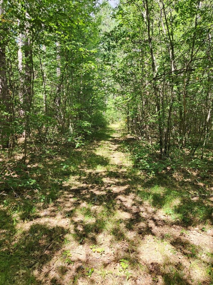 On PRAIRIE LAKE ROAD, Tomahawk, Wisconsin 54487, ,Land,For Sale,On PRAIRIE LAKE ROAD,22604359