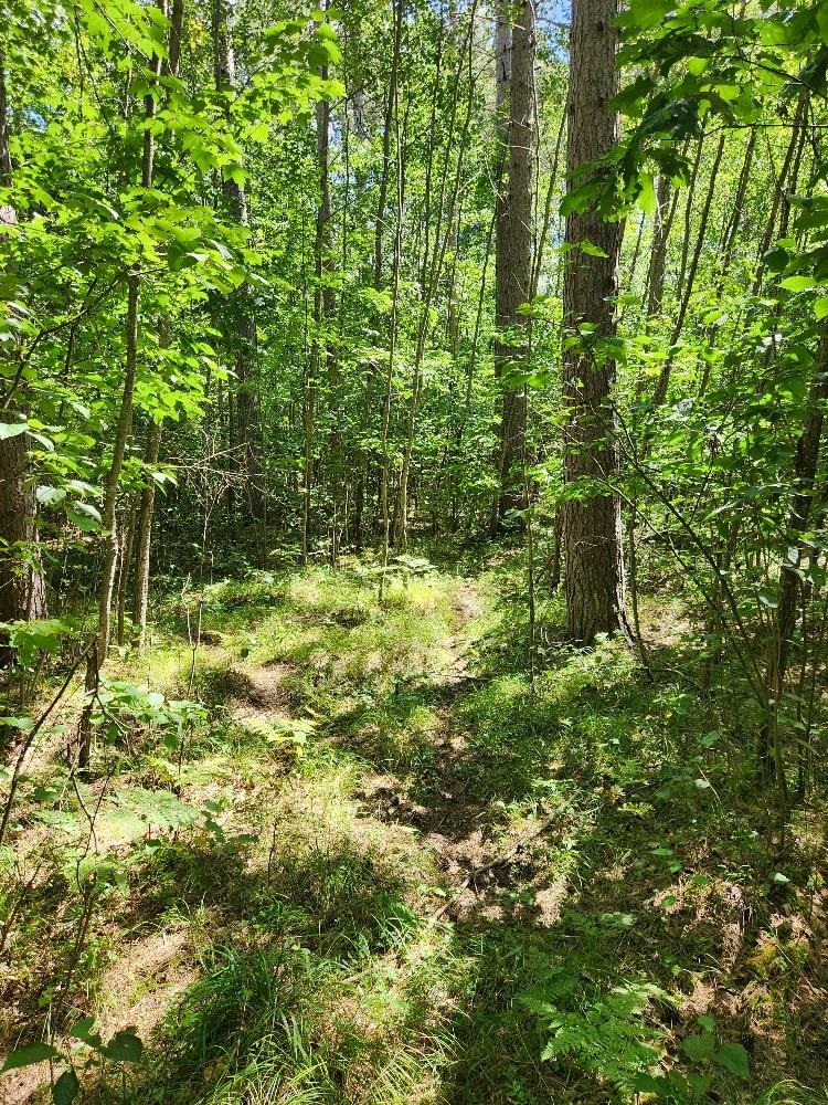 On PRAIRIE LAKE ROAD, Tomahawk, Wisconsin 54487, ,Land,For Sale,On PRAIRIE LAKE ROAD,22604359