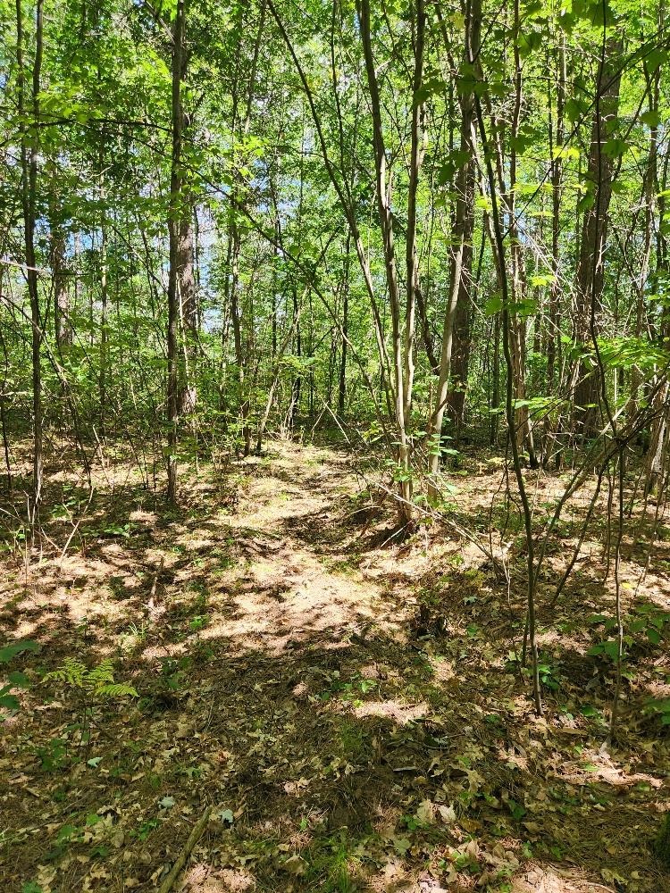 On PRAIRIE LAKE ROAD, Tomahawk, Wisconsin 54487, ,Land,For Sale,On PRAIRIE LAKE ROAD,22604359