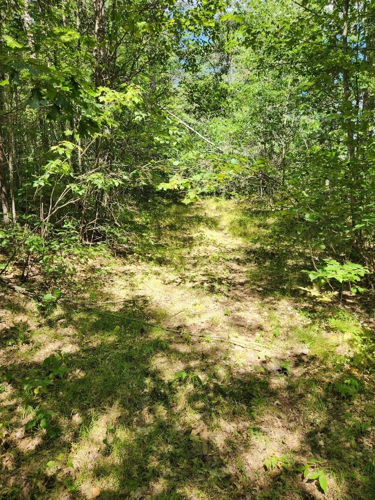 On PRAIRIE LAKE ROAD, Tomahawk, Wisconsin 54487, ,Land,For Sale,On PRAIRIE LAKE ROAD,22604359
