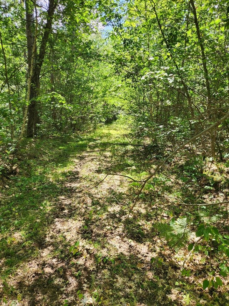 On PRAIRIE LAKE ROAD, Tomahawk, Wisconsin 54487, ,Land,For Sale,On PRAIRIE LAKE ROAD,22604359