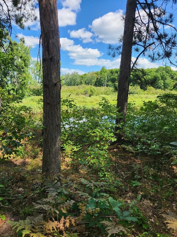 On PRAIRIE LAKE ROAD, Tomahawk, Wisconsin 54487, ,Land,For Sale,On PRAIRIE LAKE ROAD,22604359