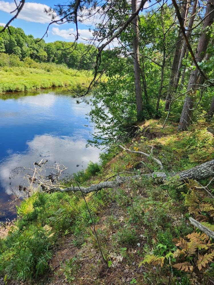 On PRAIRIE LAKE ROAD, Tomahawk, Wisconsin 54487, ,Land,For Sale,On PRAIRIE LAKE ROAD,22604359