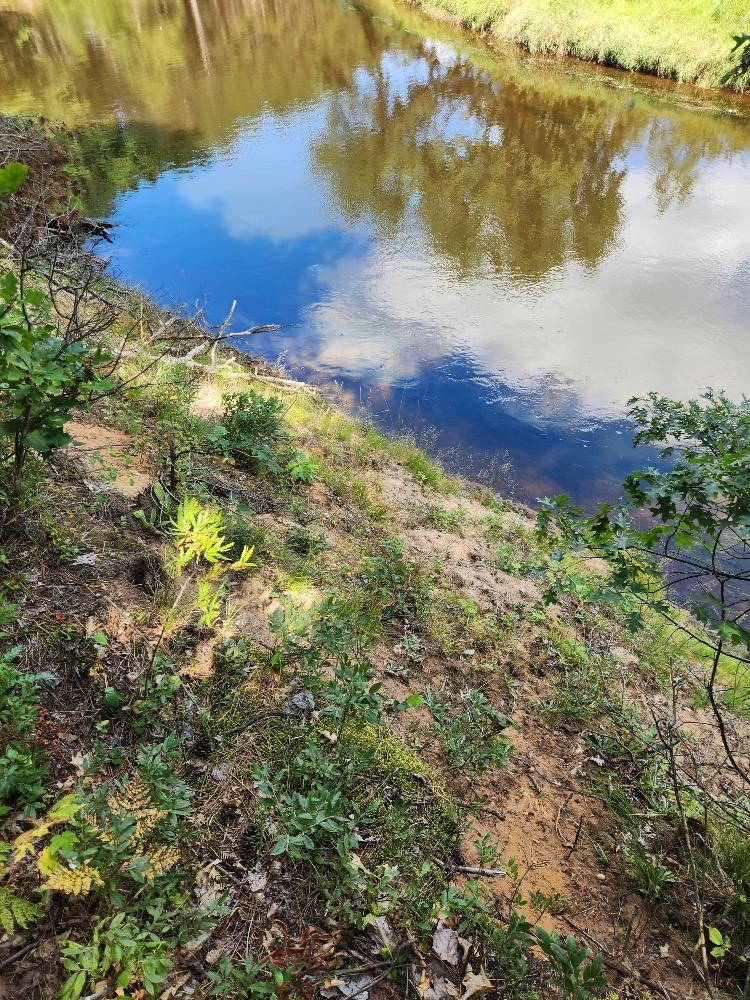 On PRAIRIE LAKE ROAD, Tomahawk, Wisconsin 54487, ,Land,For Sale,On PRAIRIE LAKE ROAD,22604359