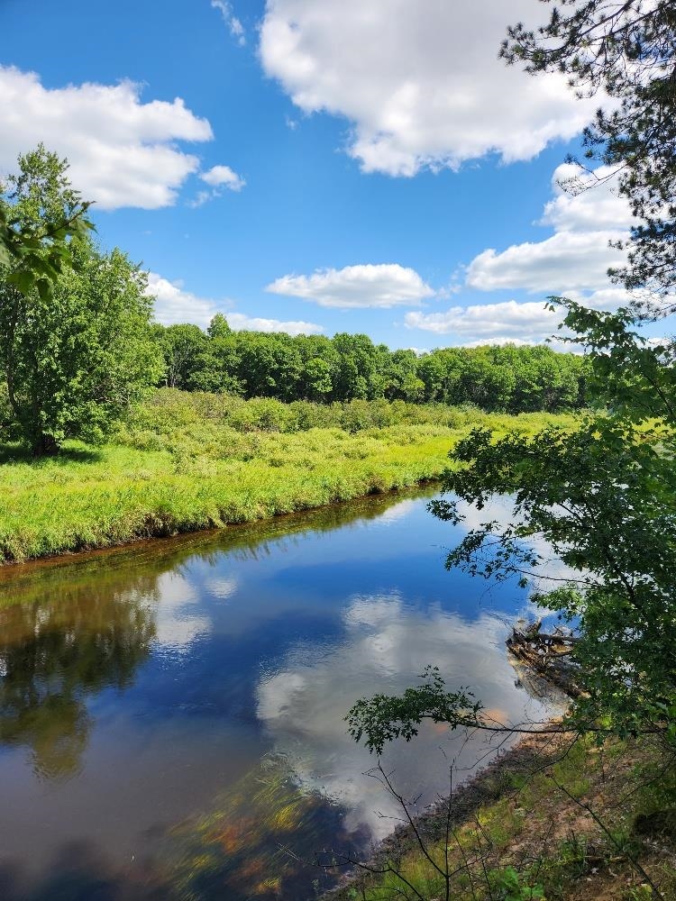 On PRAIRIE LAKE ROAD, Tomahawk, Wisconsin 54487, ,Land,For Sale,On PRAIRIE LAKE ROAD,22604359